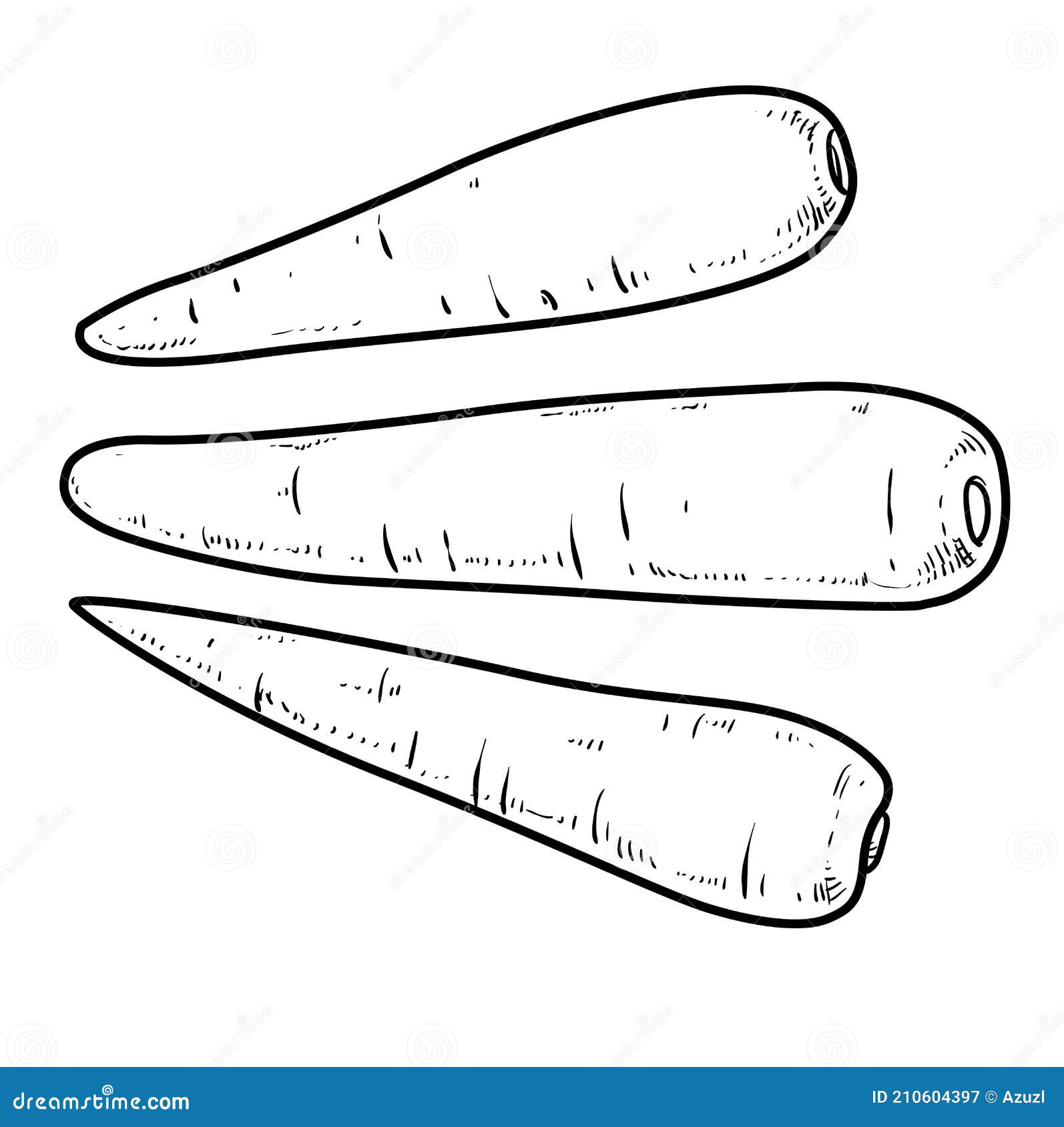 Zeichnung Der Karotten Stock Illustrationen, Vektoren, & Kliparts - 875
