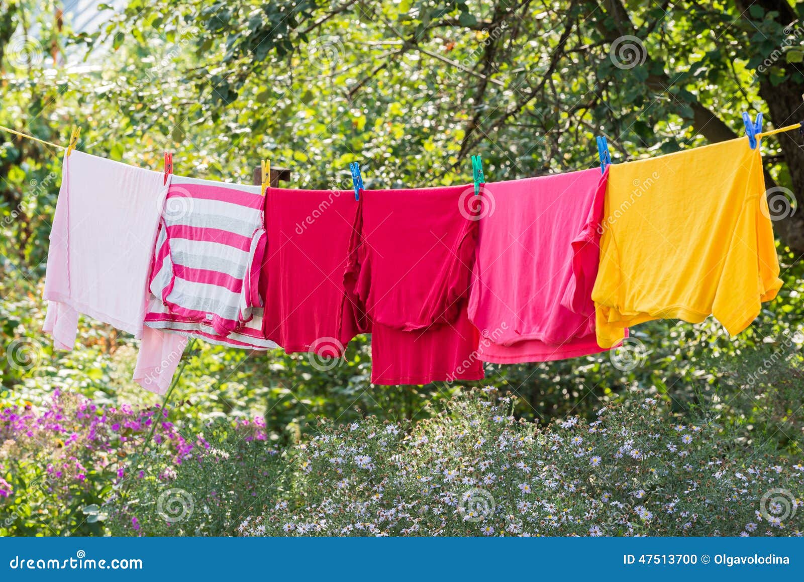 Linen is Dried on Rope in the Garden Stock Photo Image of clothesline
