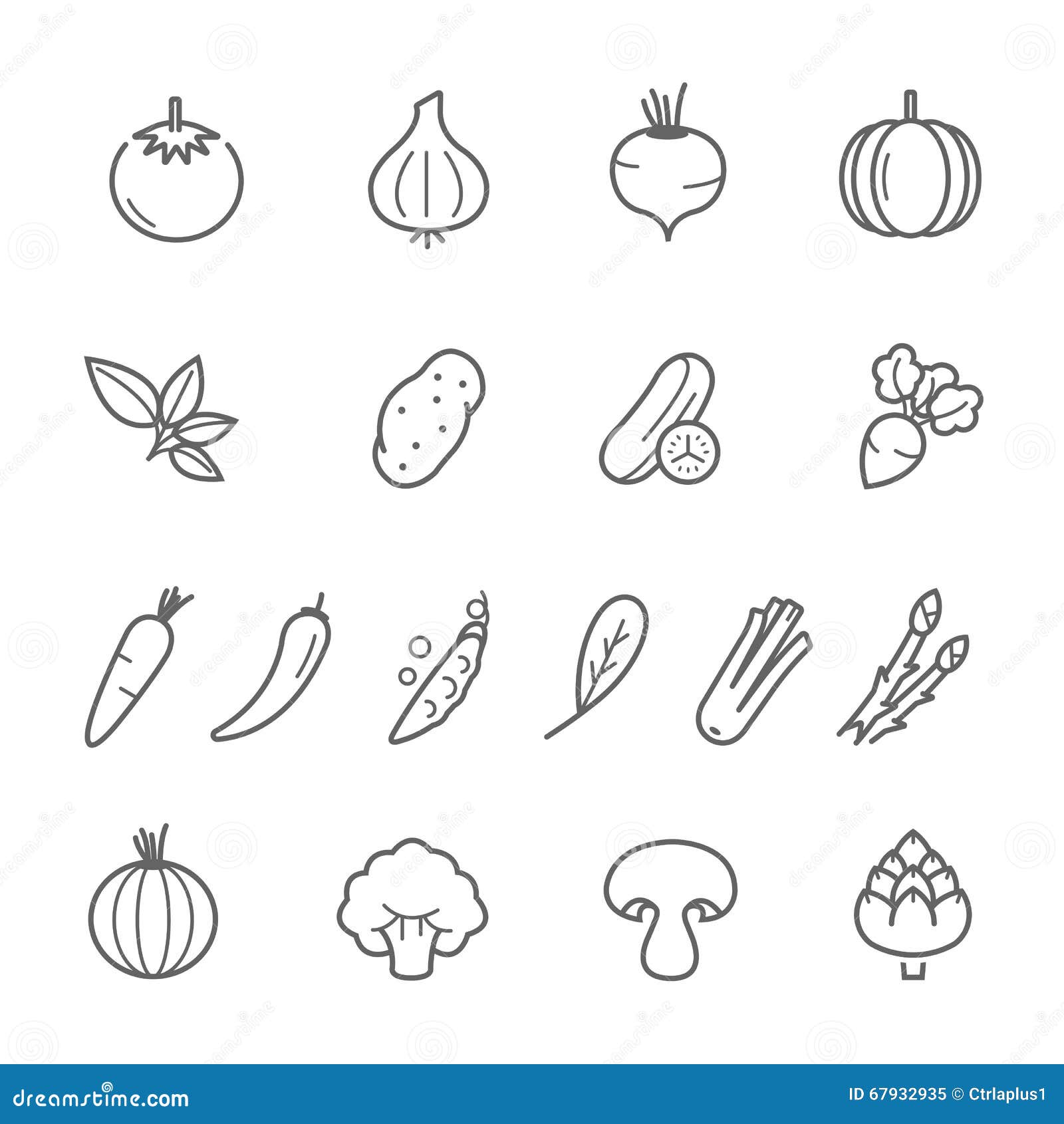 Lines icon set - vegetable stock vector. Illustration of cherry - 67932935