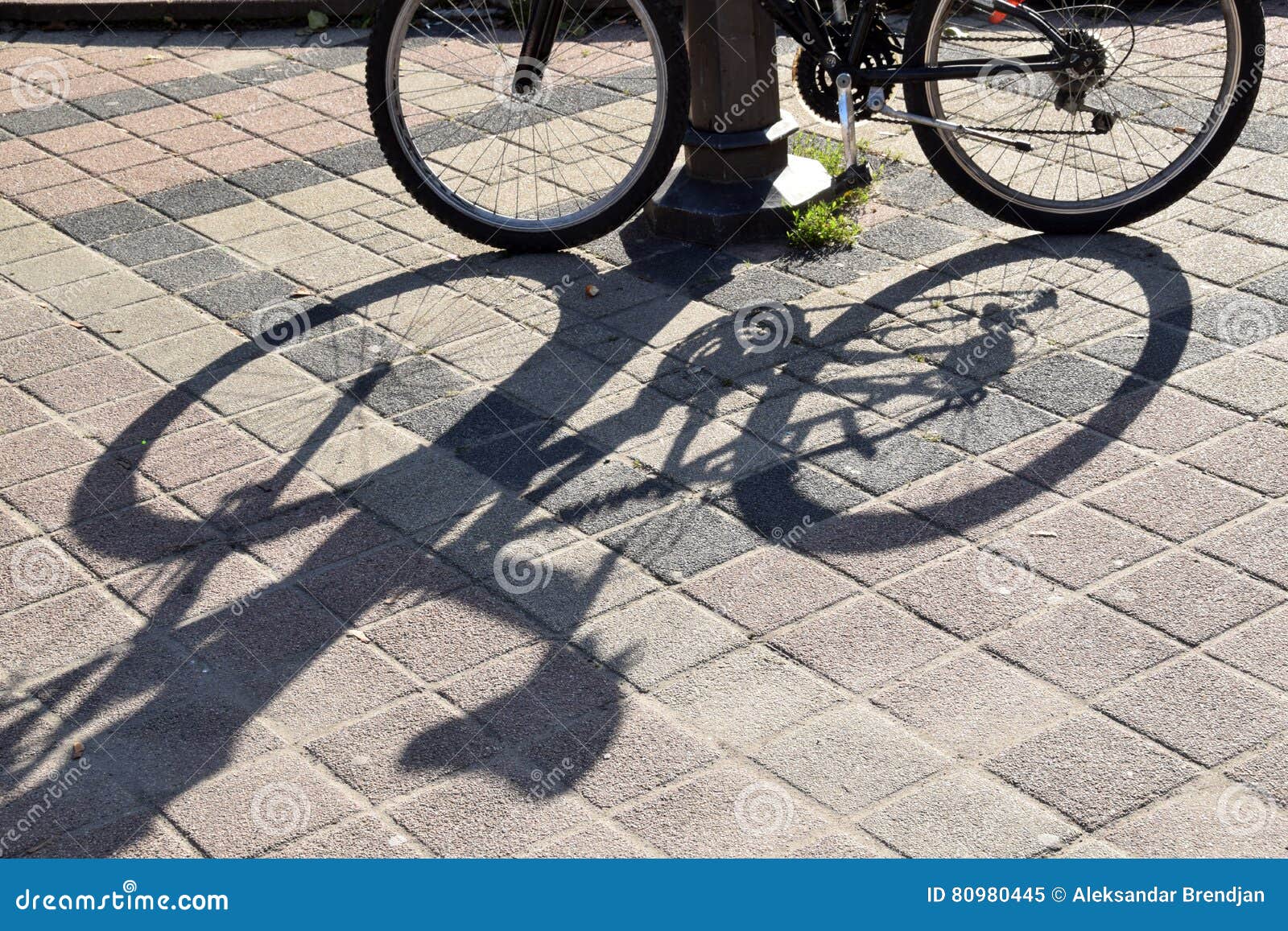 the lines and shadows on concrete of bicicle