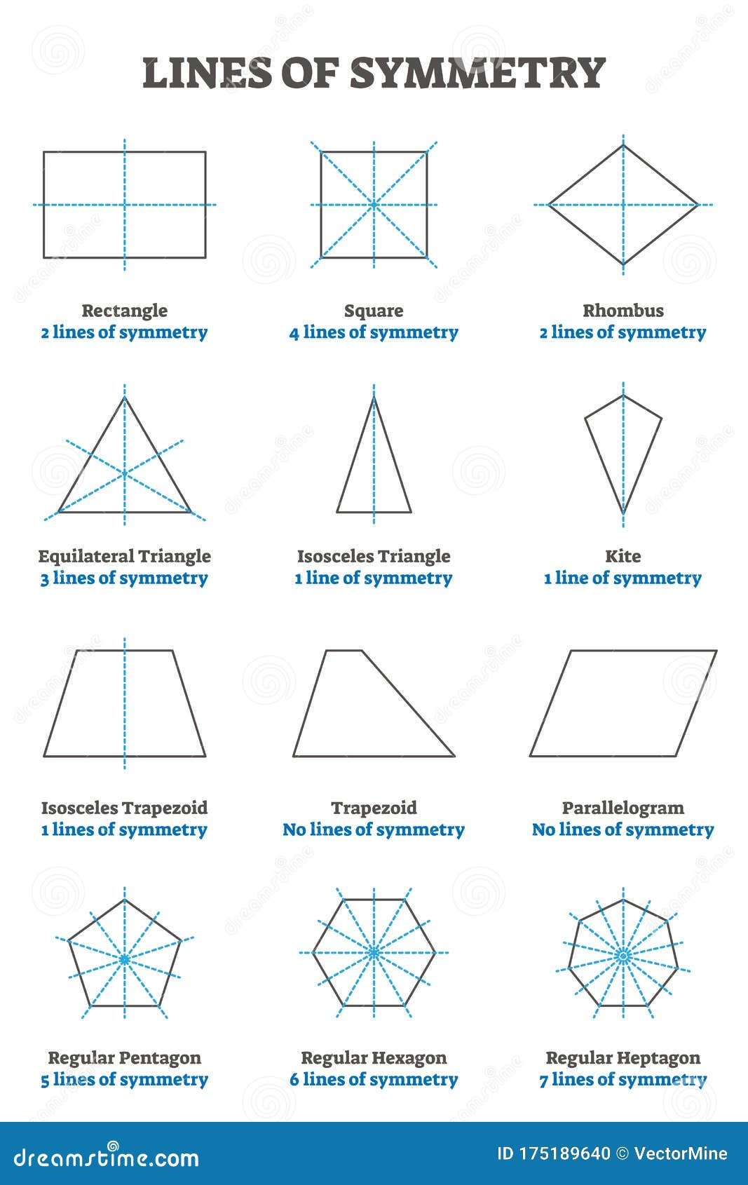 Lines of symmetry guide vector illustration collection cartoondealer