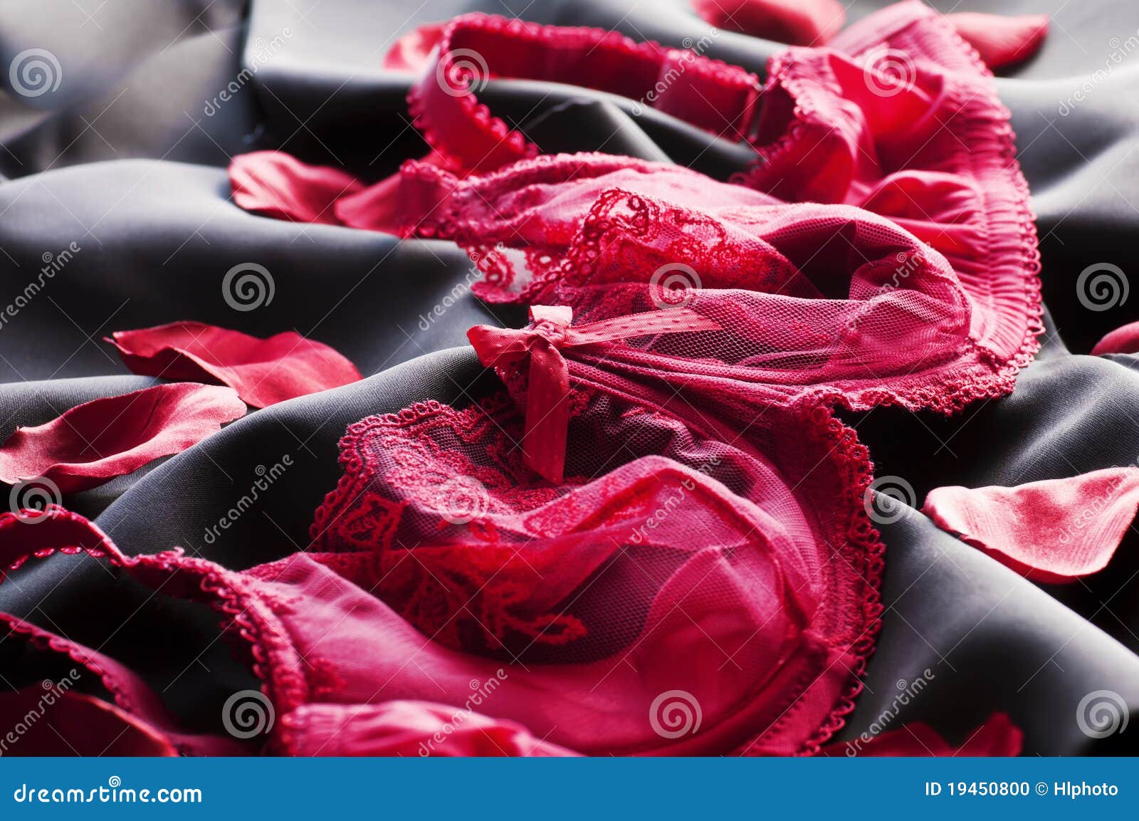 Lingerie stock photo. Image of apparel, seductive, rose - 19450800