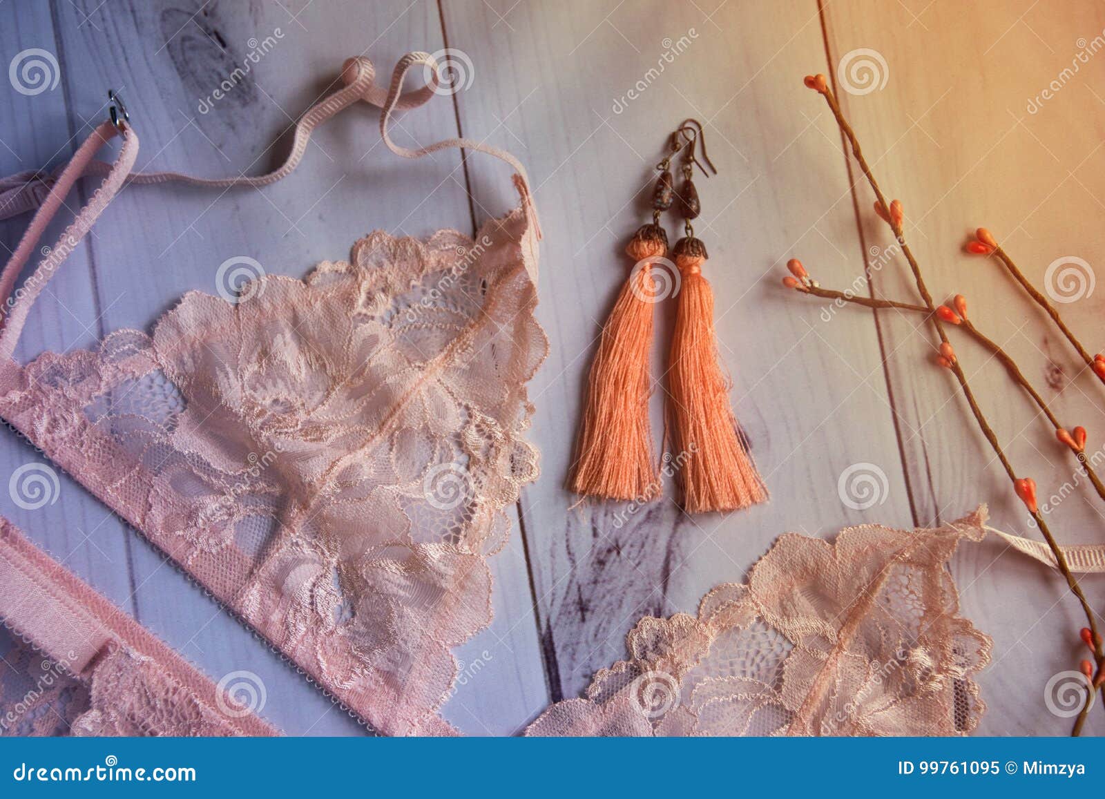 https://thumbs.dreamstime.com/z/lingerie-women-s-lacy-underwear-bust-wooden-white-background-soft-focus-lingerie-women-s-lacy-underwear-bust-99761095.jpg