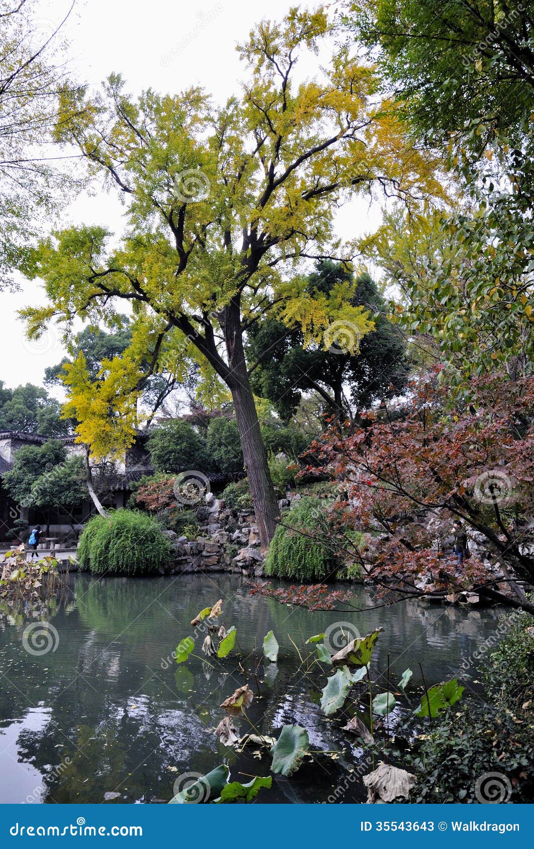 Lingering garden in suzhou stock image. Image of lingering - 35543643