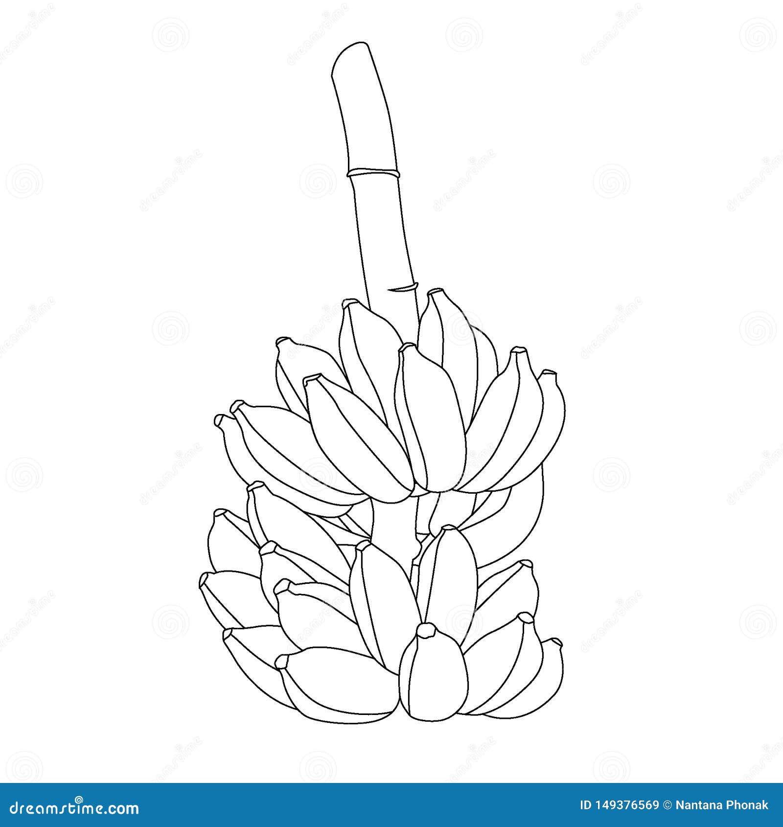 Desenhos de Banana para Colorir - Desenhos Para Colorir