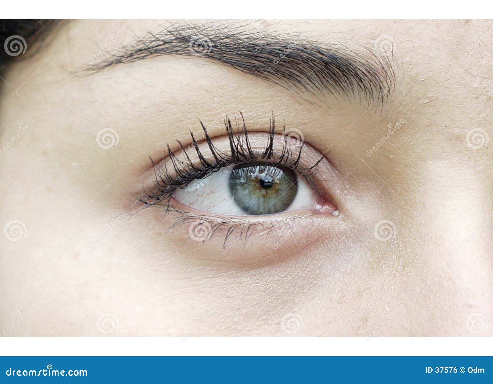156 Linkes Auge Fotos Kostenlose Und Royalty Free Stock Fotos Von Dreamstime