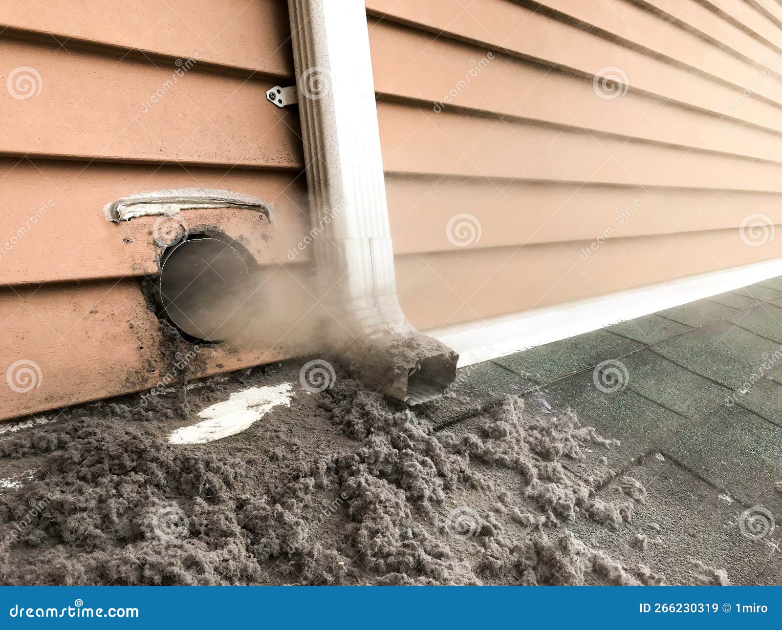 Clogged Dryer Vent Blocked By Weeds RoyaltyFree Stock Image 195079102