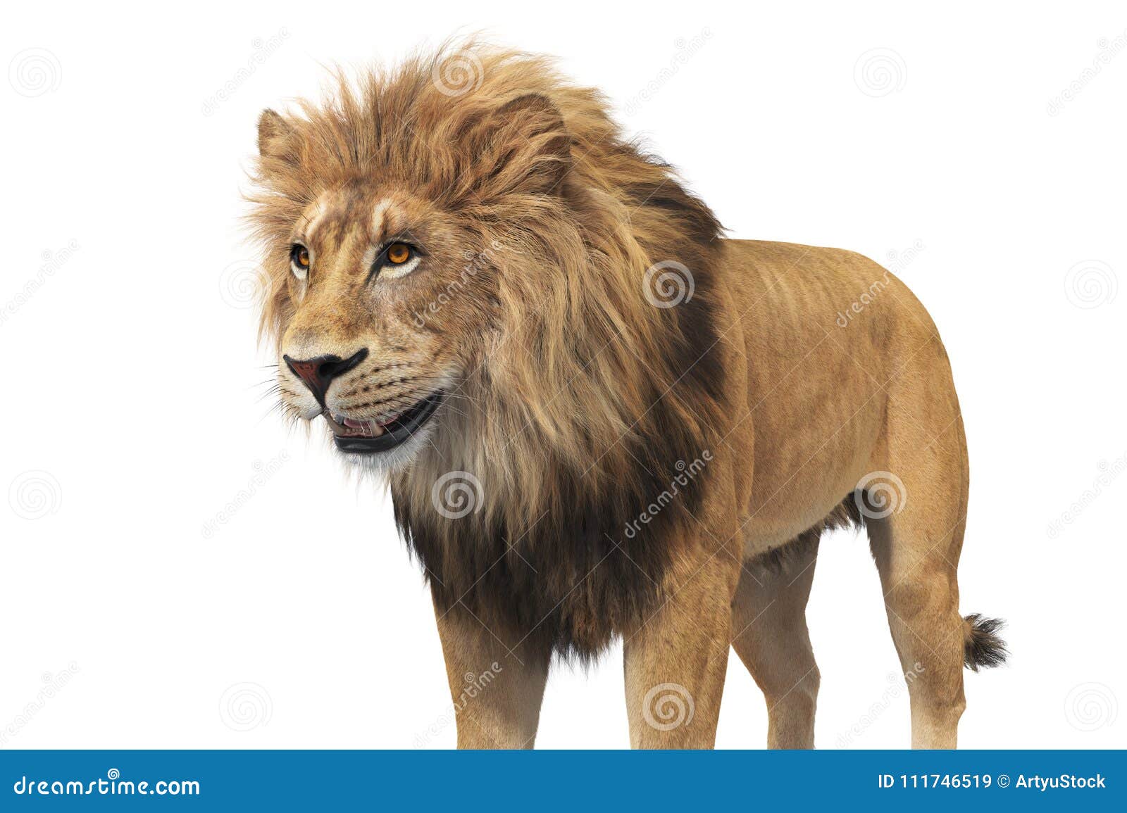 Lion Animal Beige Fur, Close View Stock Illustration - Illustration of  panthera, beast: 111746519