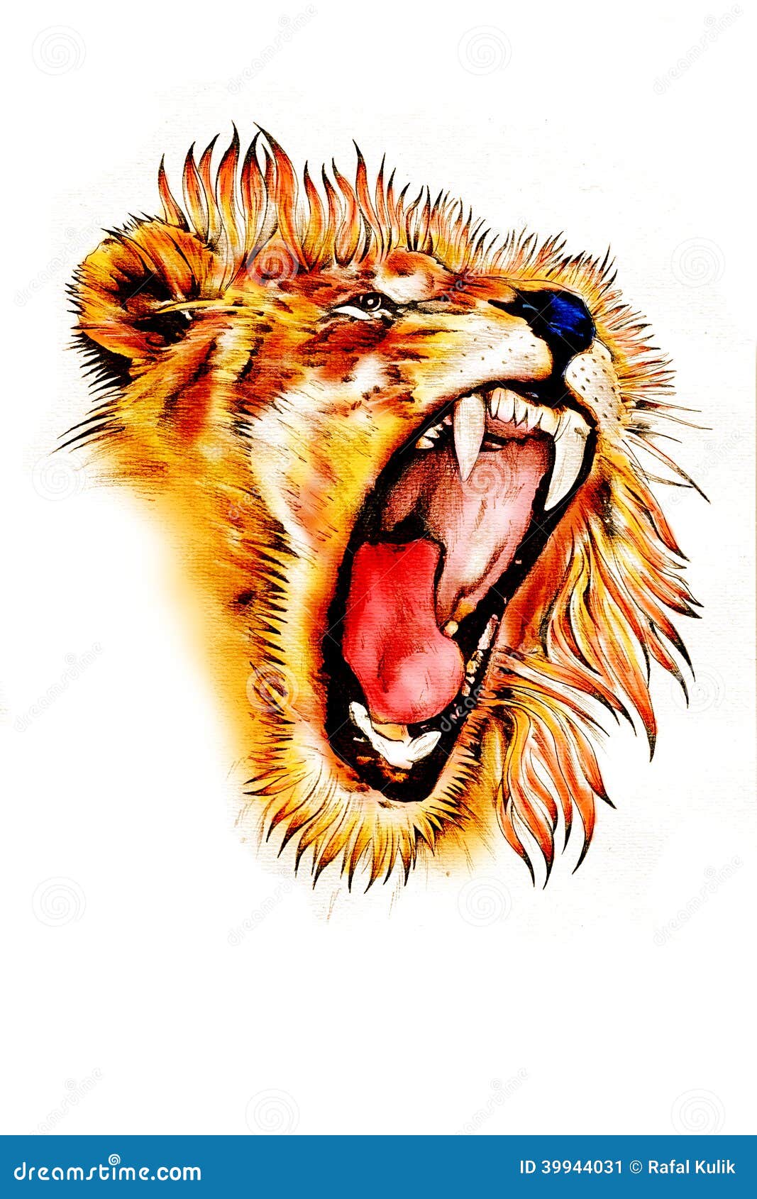 drawings of lions roaring in color