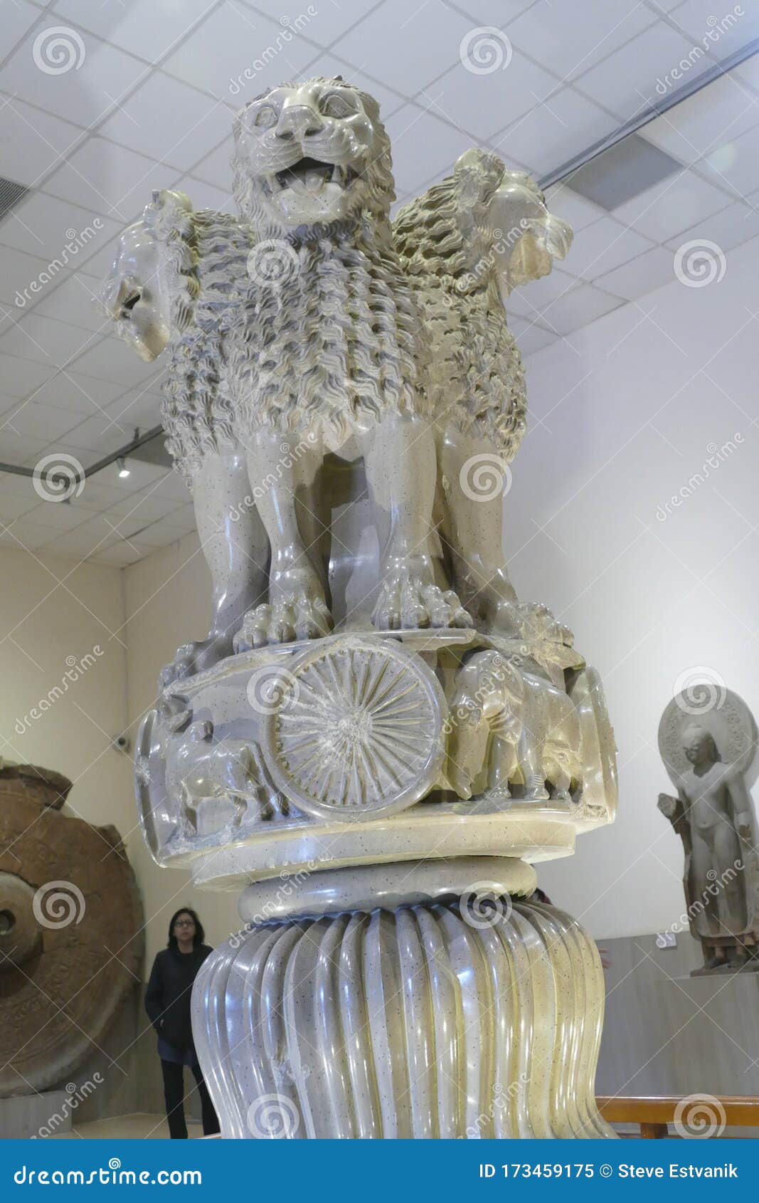 Lion Capital from Ashoka Pillar Stock Image - Image of buddhism, ashoka: 173459175 Lion Capital from Ashoka Pillar Stock Image - Image of buddhism, ashoka: 173459175