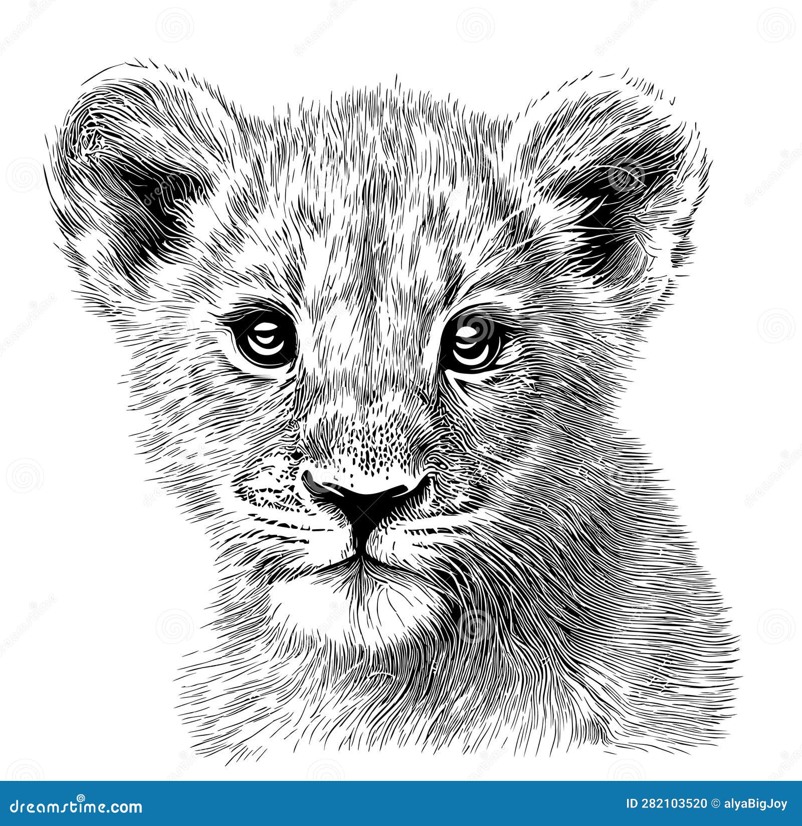Lion Head Sketch Vector & Photo (Free Trial) | Bigstock
