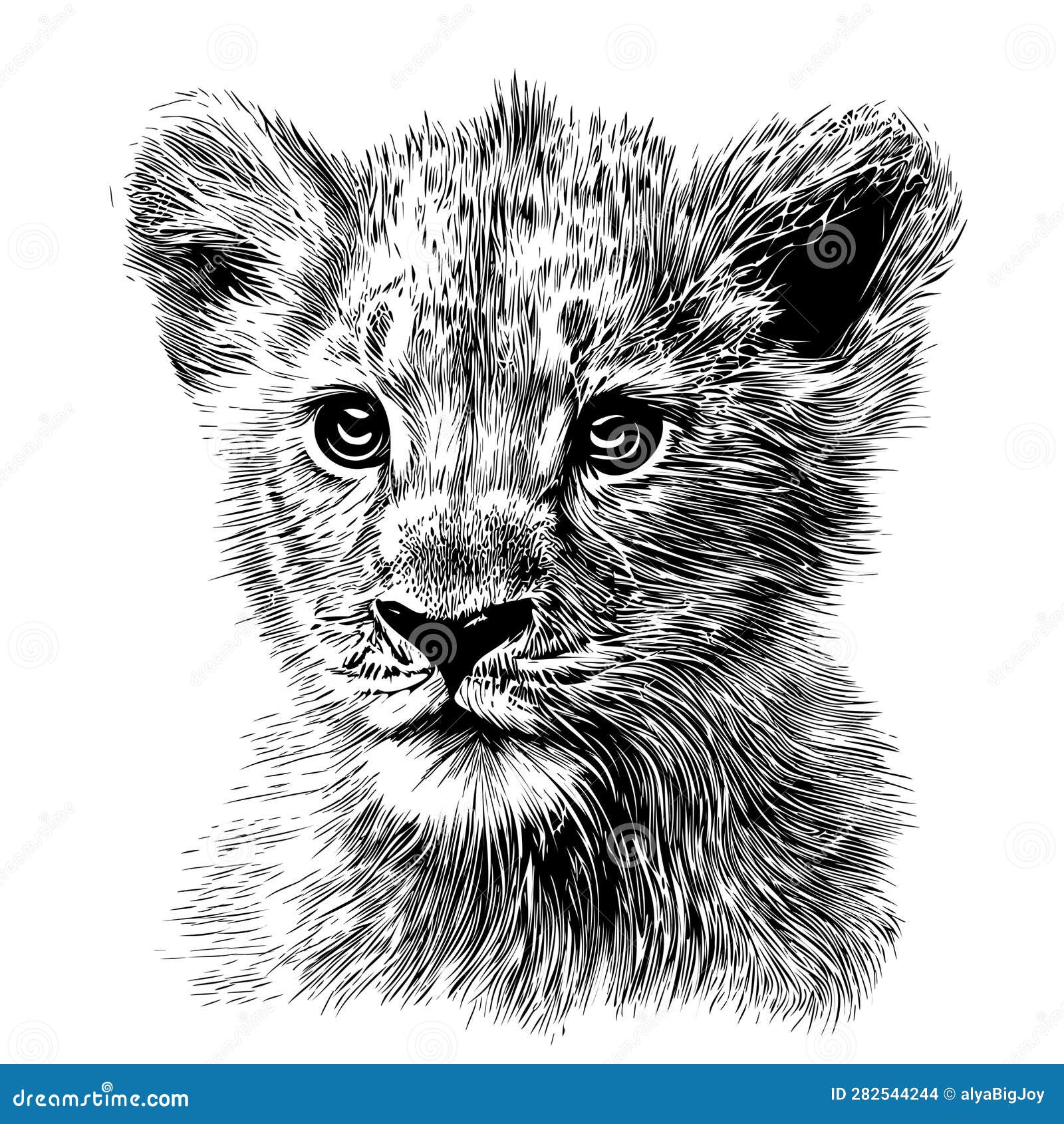 Lion Cub. Animals. Drawings. Pictures. Drawings ideas for kids. Easy and  simple.