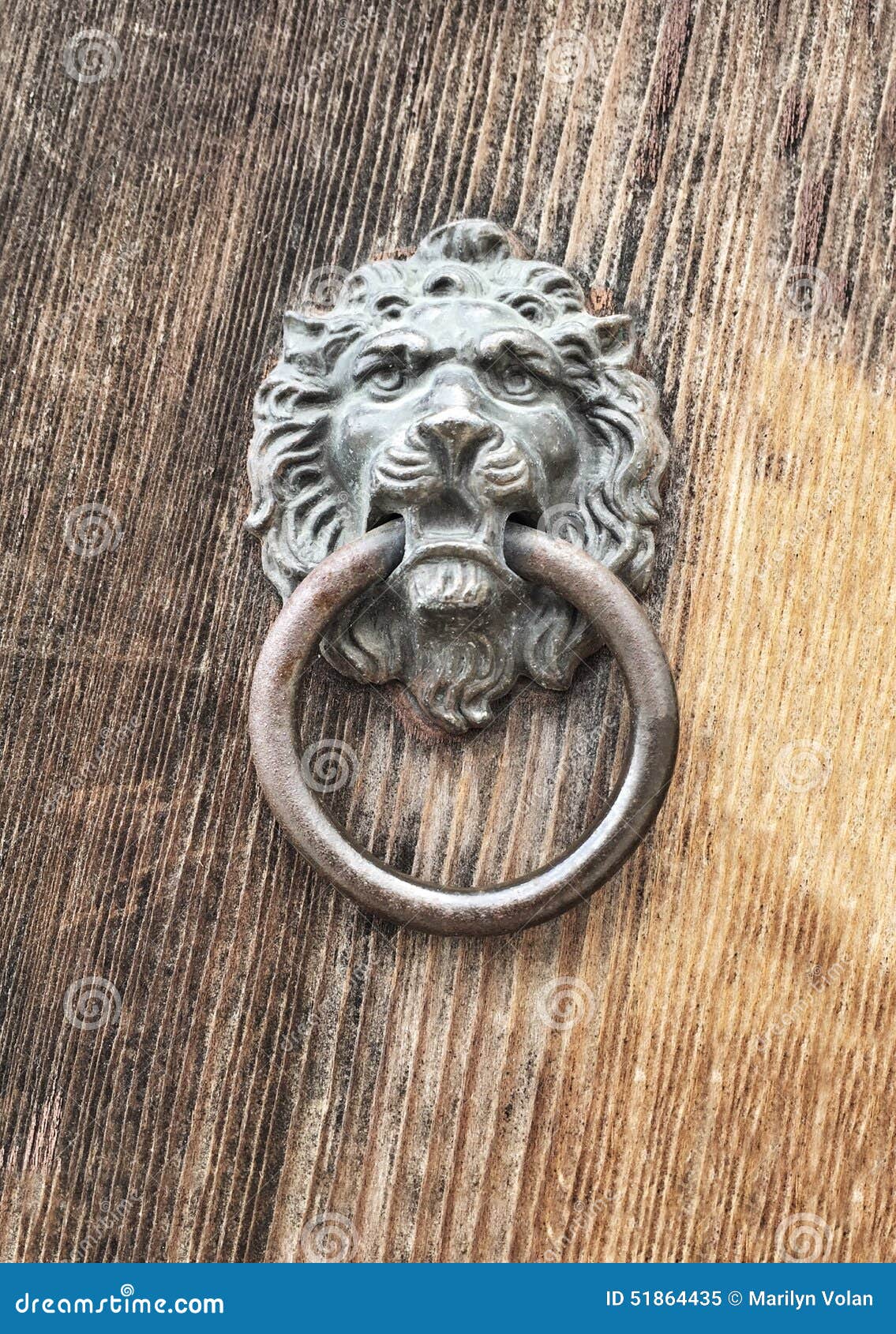 Lion Door Knocker stock image. Image of knock, lion, entrance 51864435