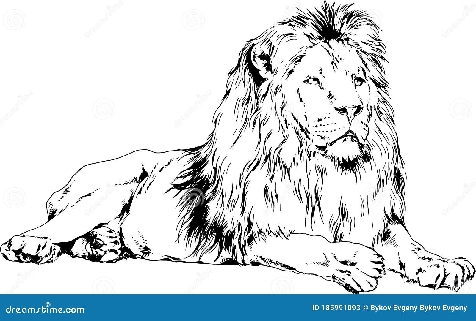 lion drawn ink hands predator tattoo lion drawn ink hands predator tattoo logo 185991093