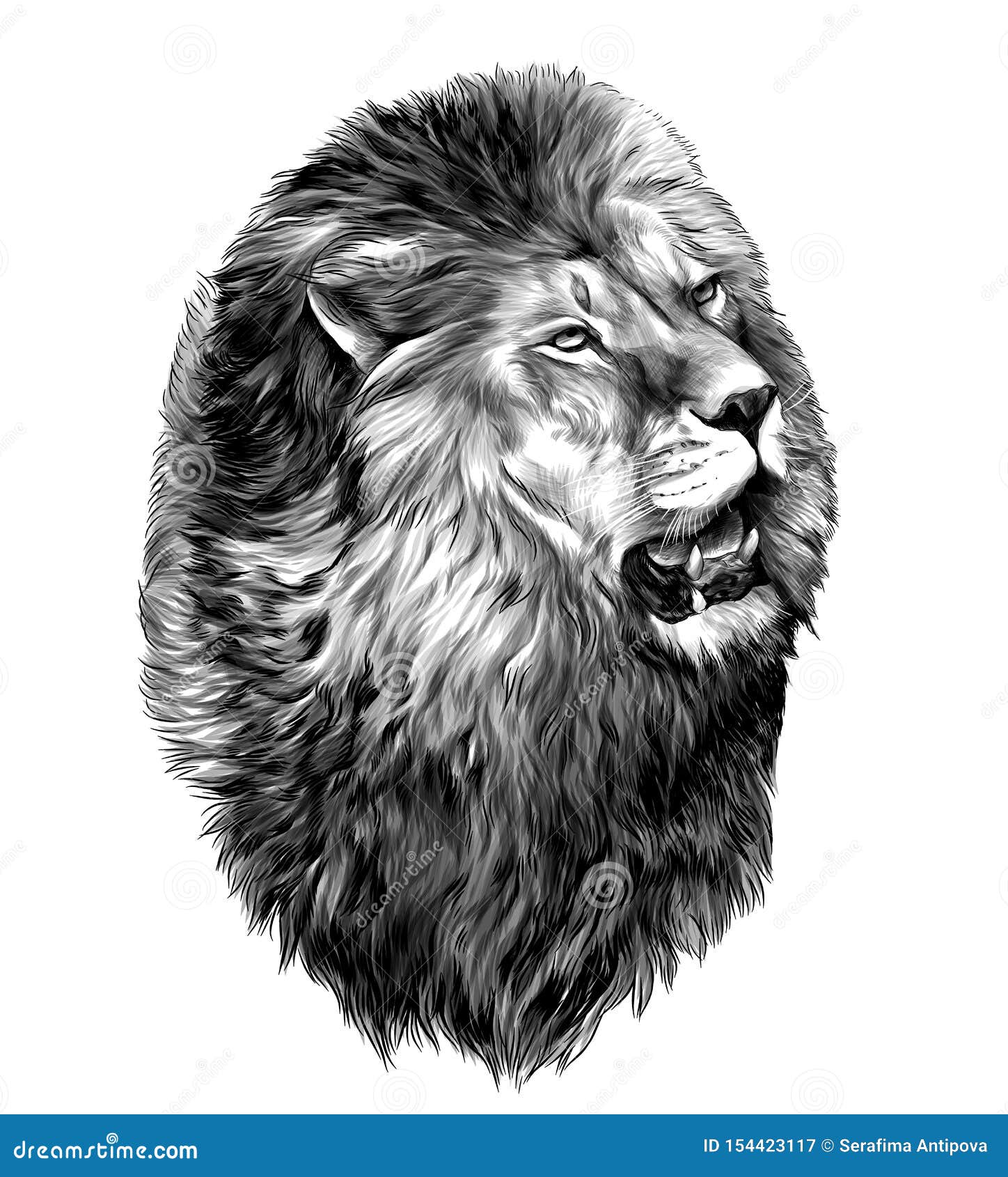 Lion Head with Open Mouth Looking To the Side Stock Vector