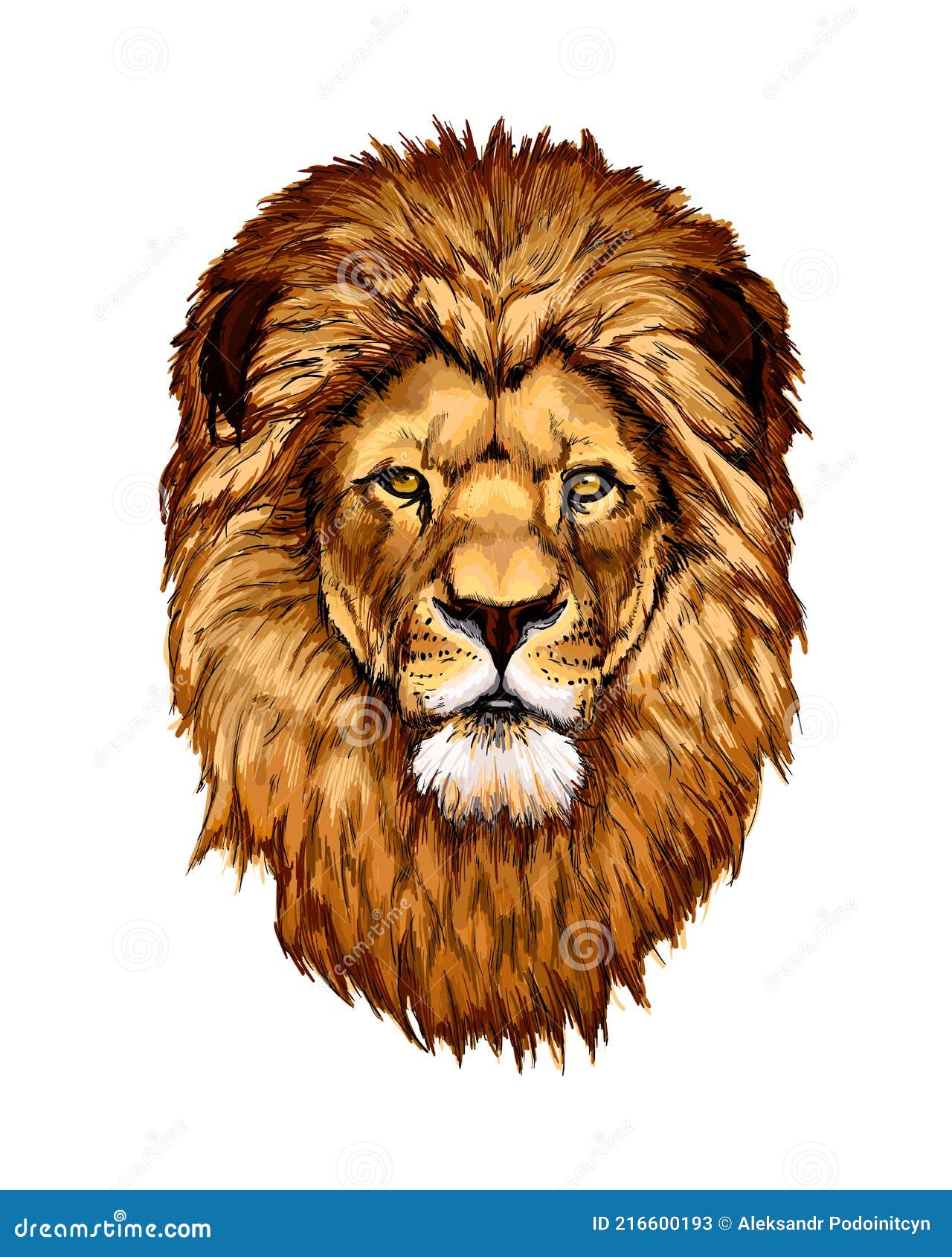 How To Draw Lion Face Pictures | Lion Face Step by Step Drawing Lessons-saigonsouth.com.vn