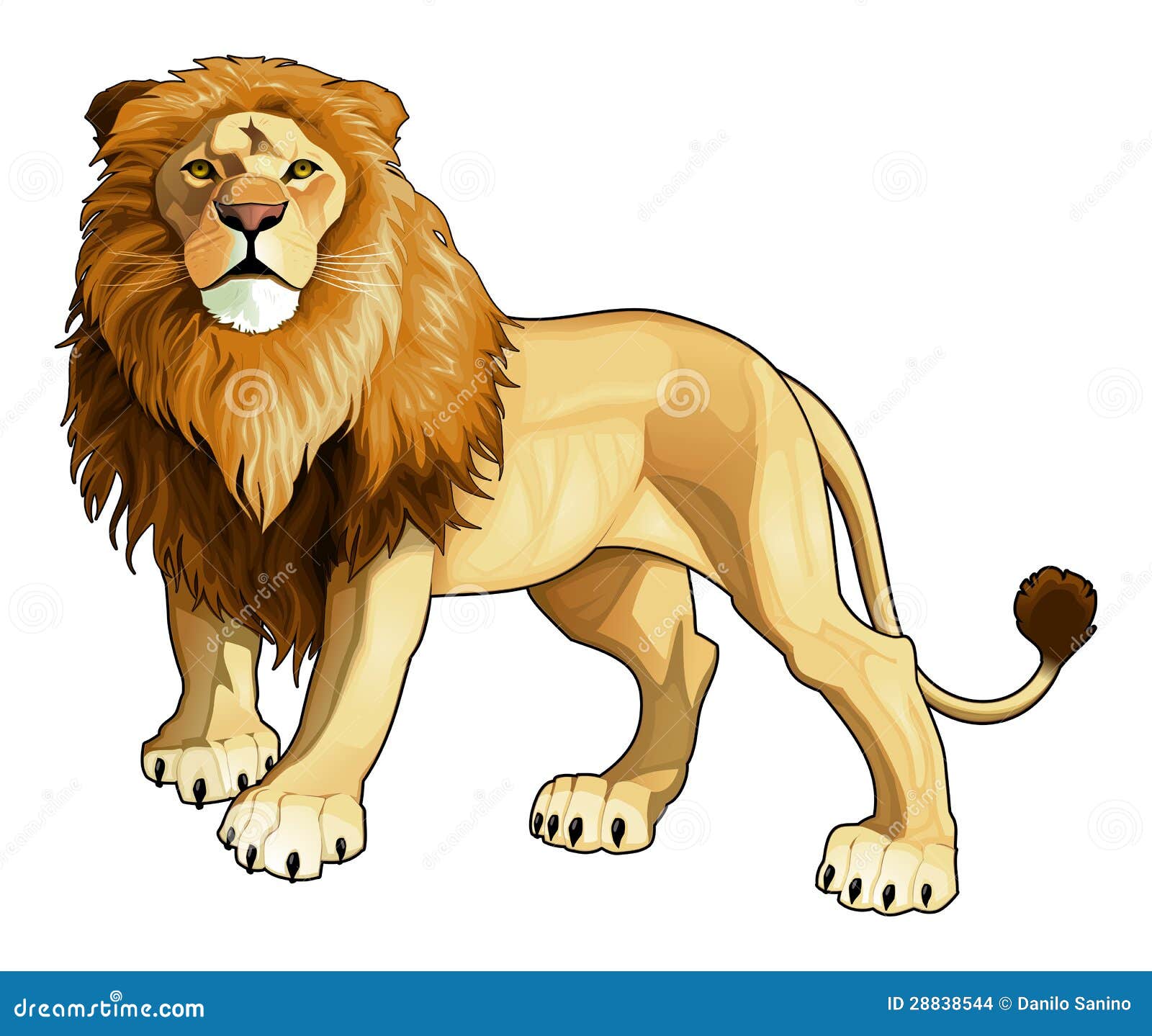 lion image clip art