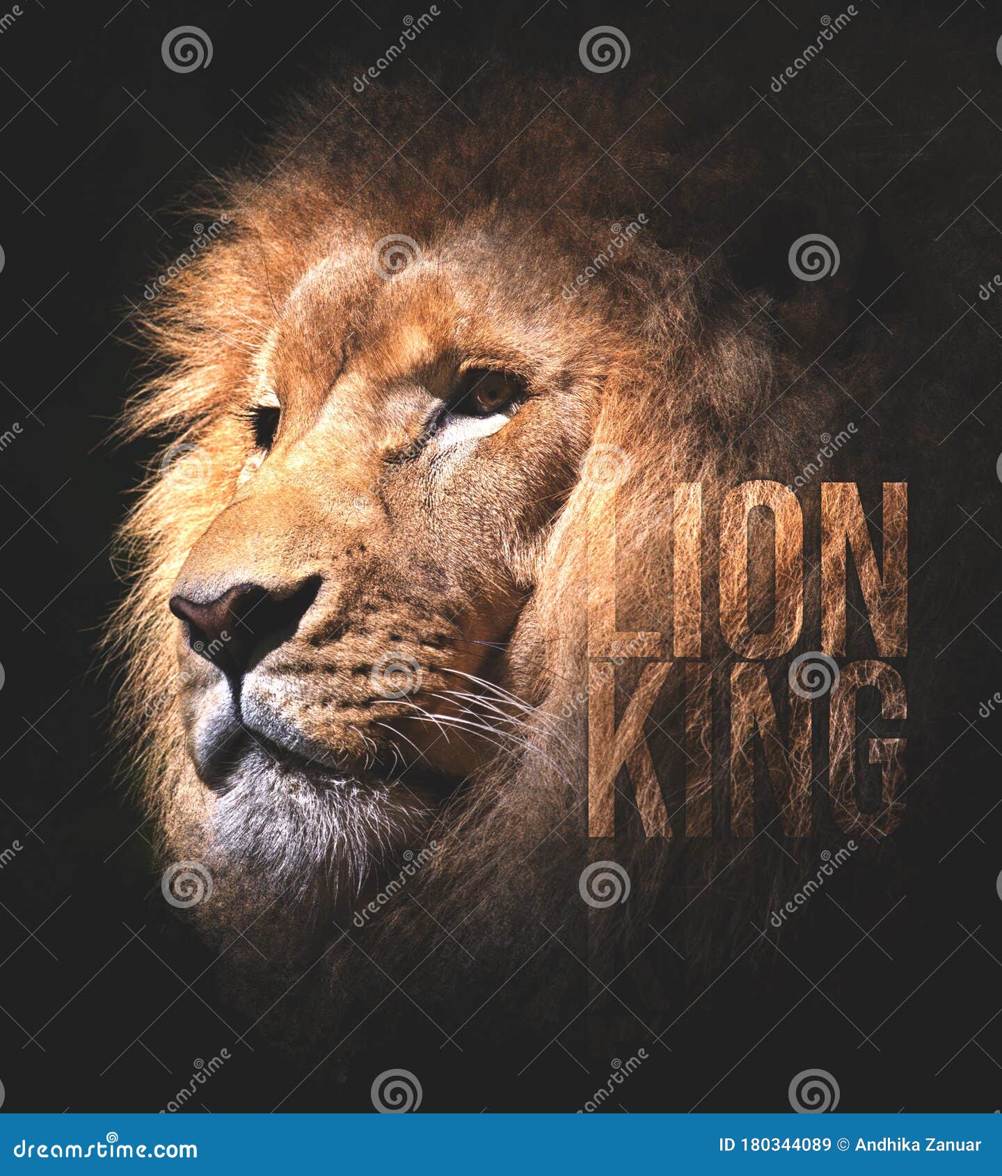 The Lion of the King and Low Light Effect Stock Image - Image of male,  savannah: 180344089