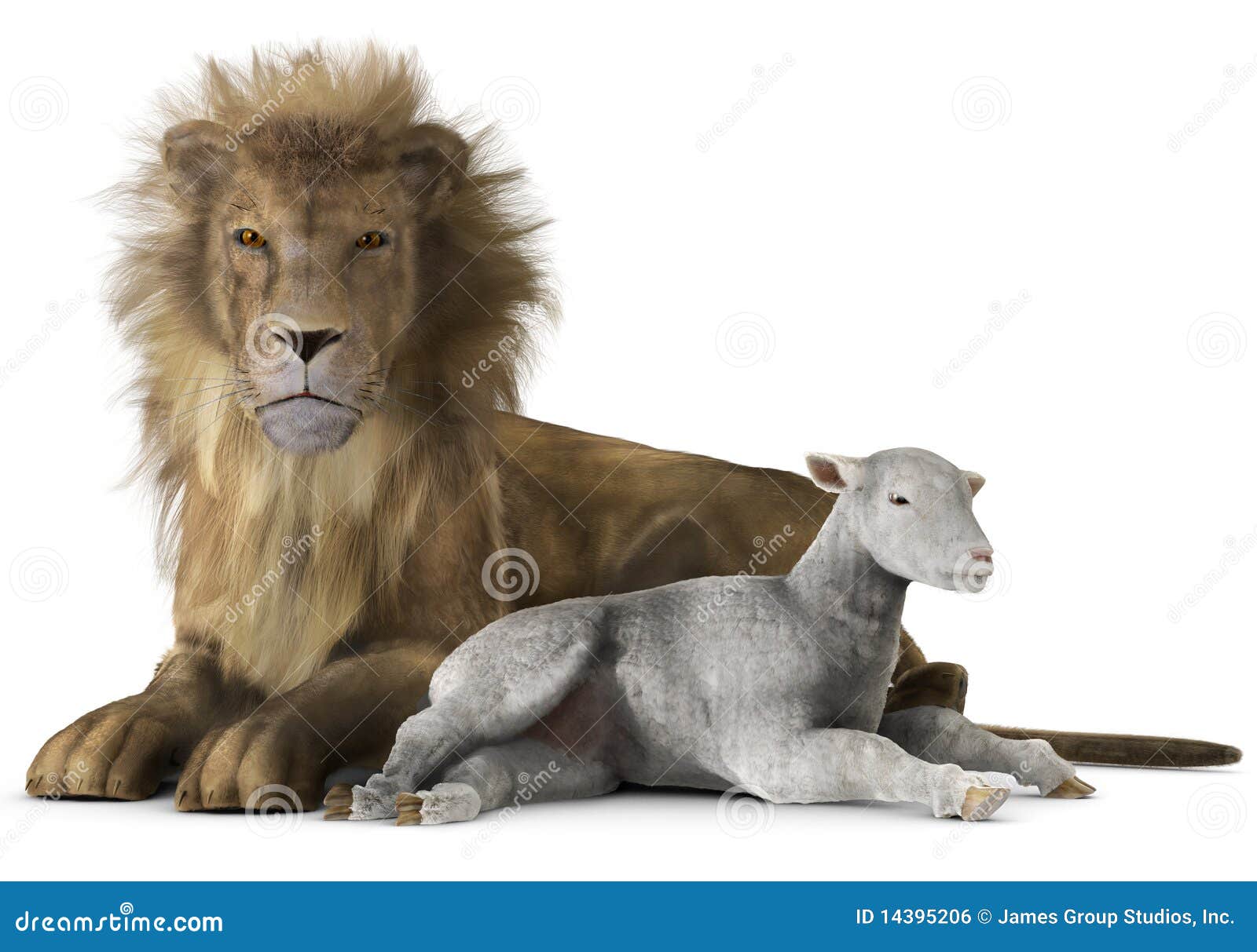 Lion Lamb Photos Free Royalty Free Stock Photos From Dreamstime