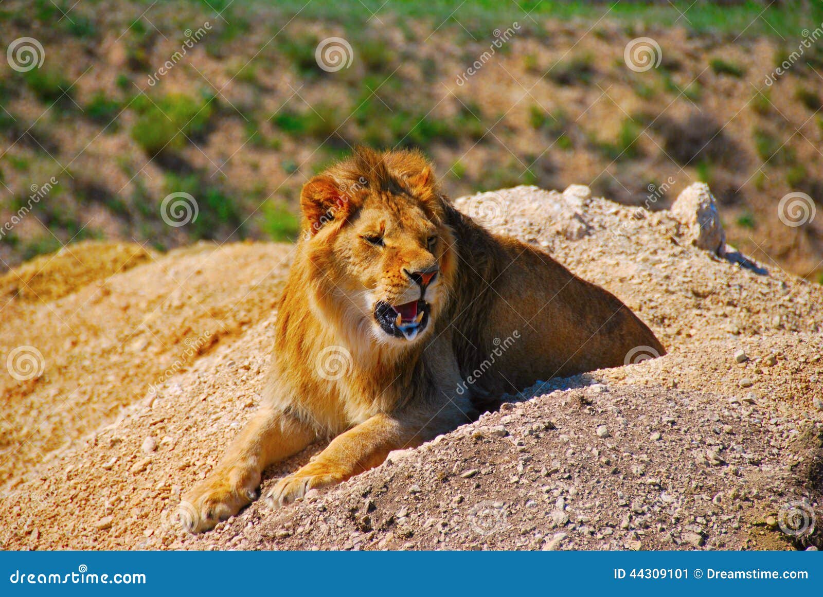 3,816 Child Predator Stock Photos - Free & Royalty-Free Stock Photos from Dreamstime 3,816 Child Predator Stock Photos - Free & Royalty-Free Stock Photos from Dreamstime