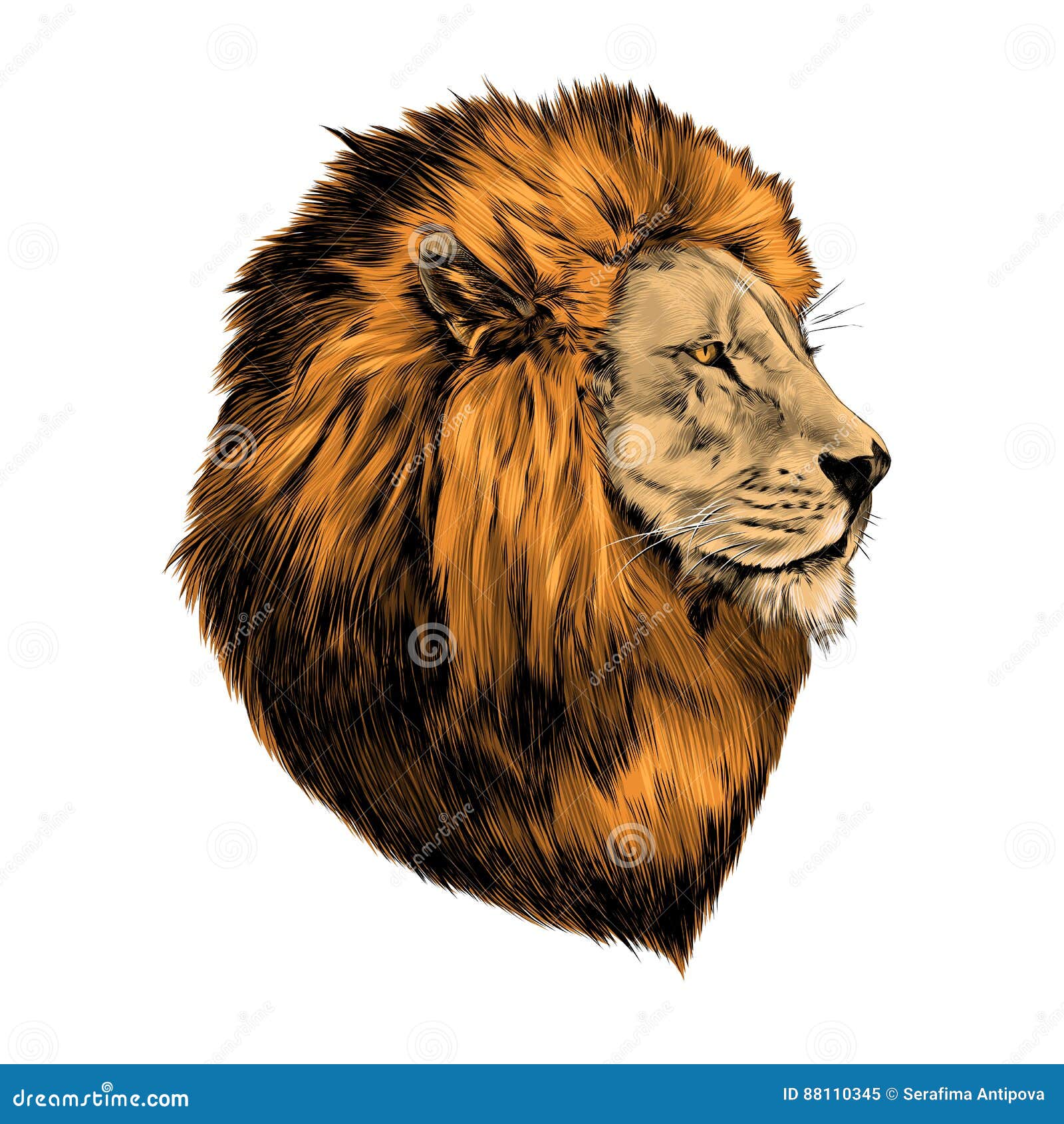 HD drawing lion wallpapers | Peakpx