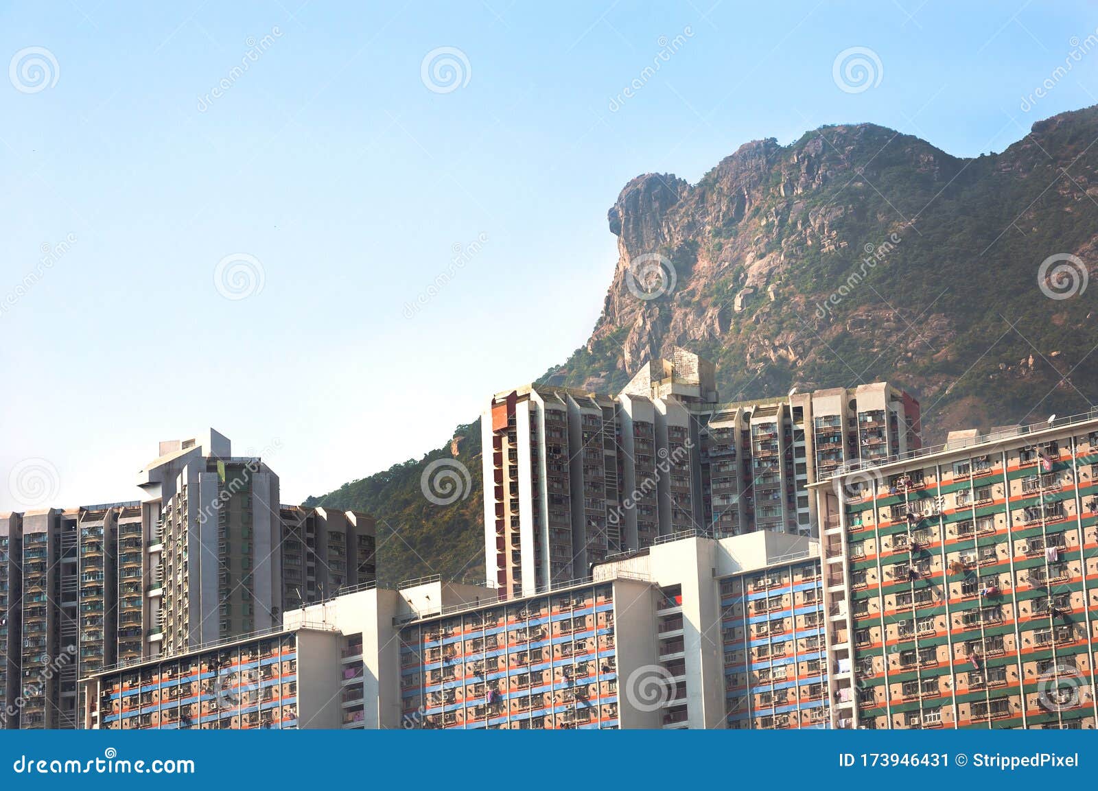 Lion Rock Profile Seen From Wong Tai Sin Hong Kong Editorial Photo Image Of Famous Outdoors Lion Rock Profile Seen From Wong Tai Sin Hong Kong Editorial Photo Image Of Famous Outdoors