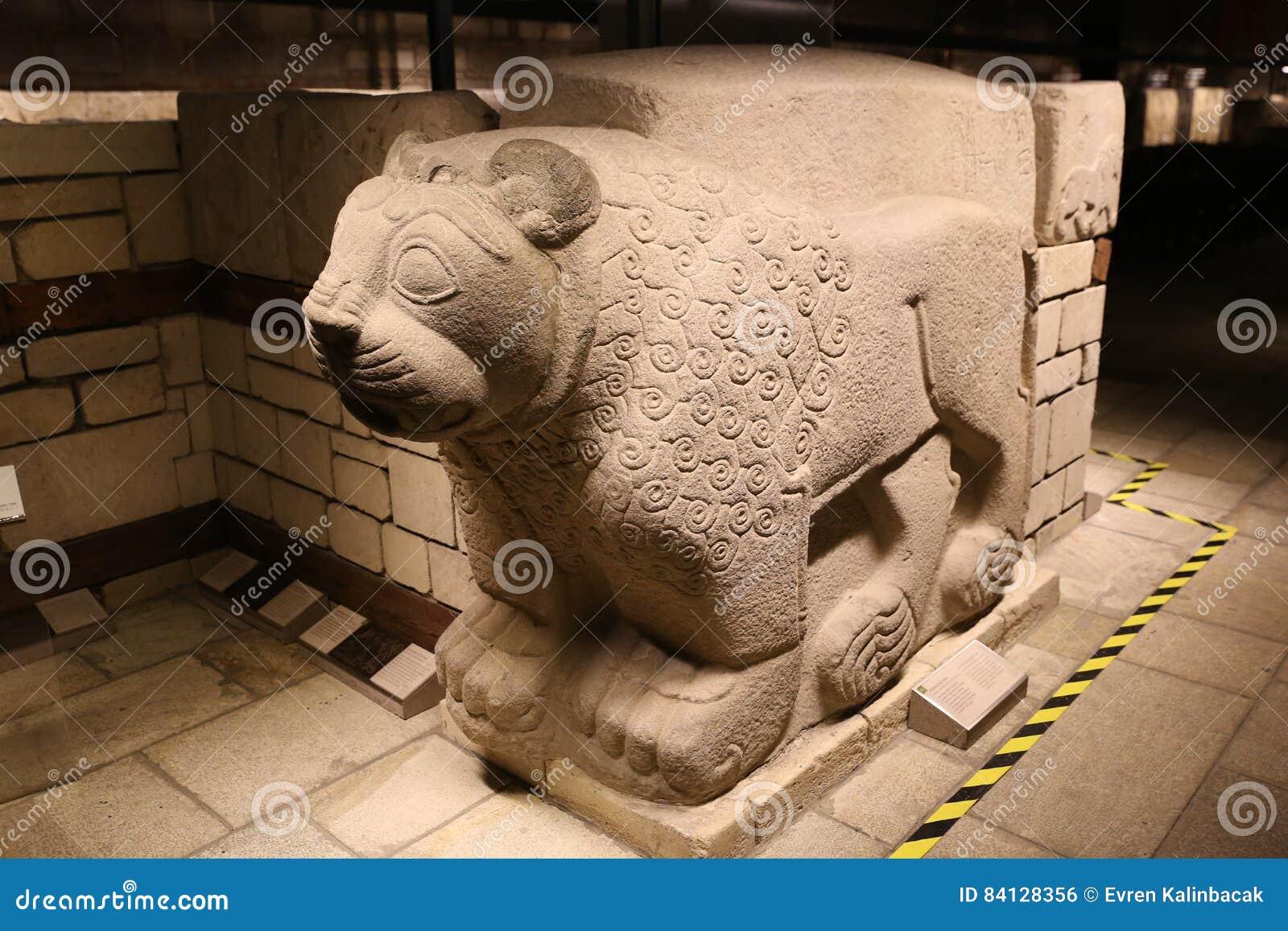 lion sculpture in museum of anatolian civilizations, ankara