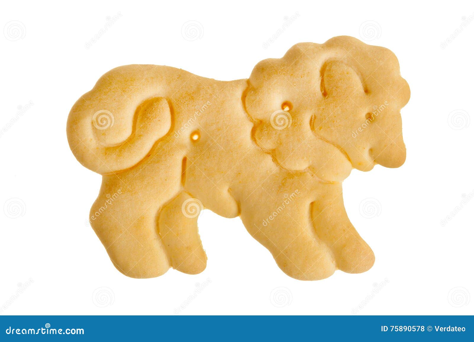 Lion shape cracker stock photo. Image of shape, breakfast 75890578