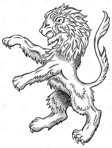 Lion Sketch stock vector. Illustration of antique, insignia - 11020885