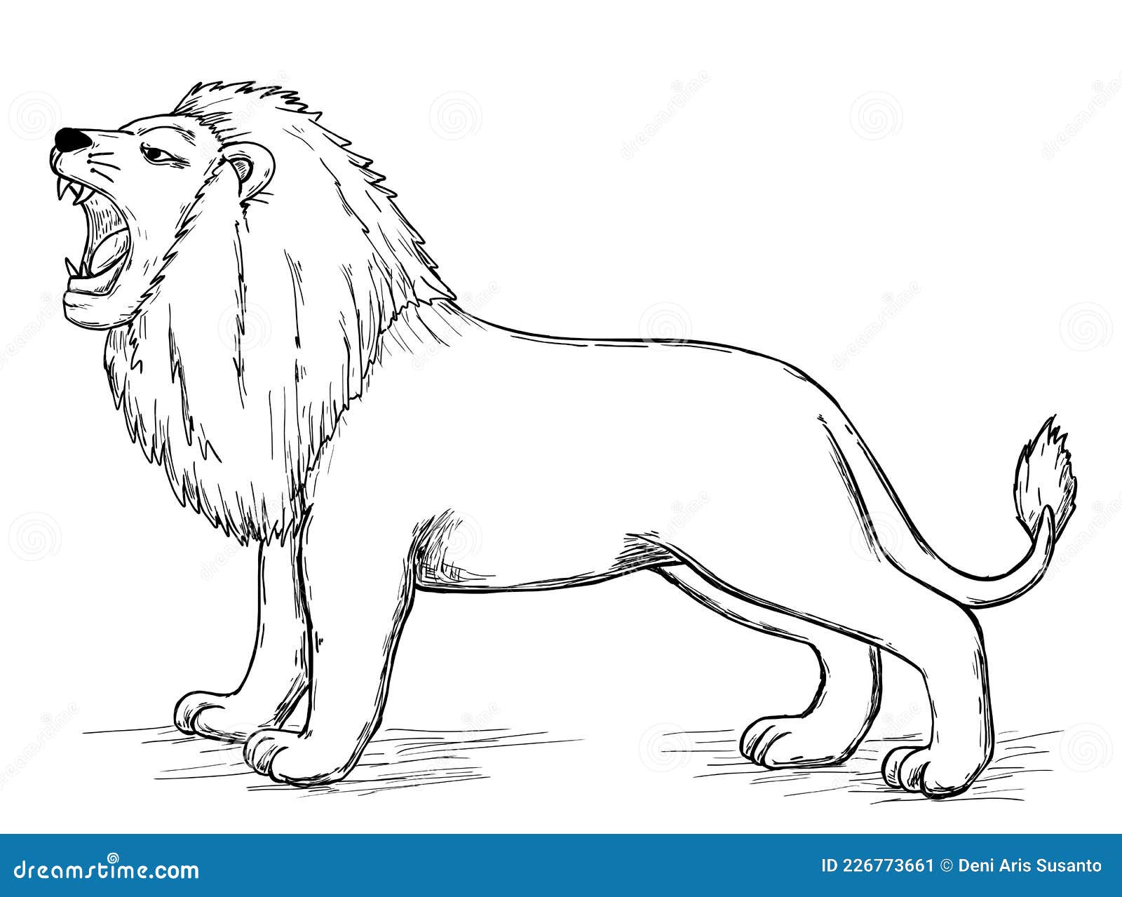 Lion Sketch Wild Animal, Hand Drawn Vector Stock Vector - Illustration of  design, drawing: 226773661
