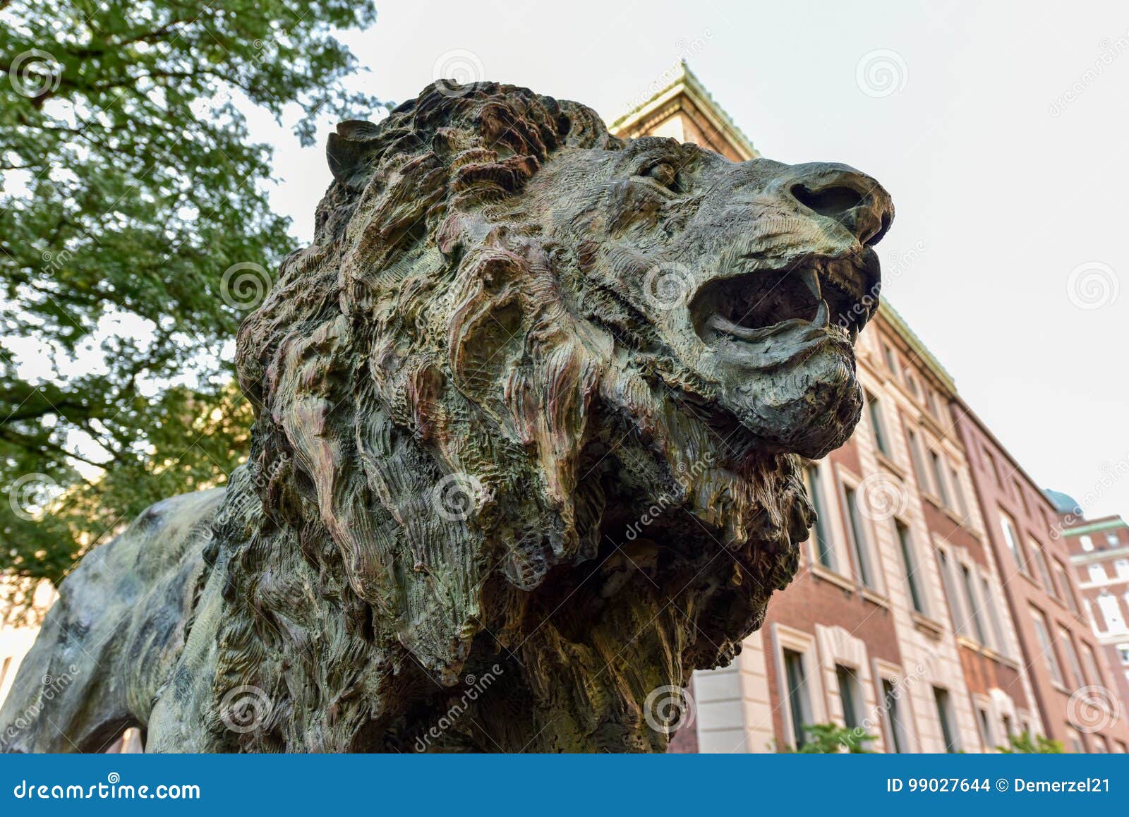 Vergil Columbia University Library Inscription Detail Stock Photo -  Download Image Now - iStock