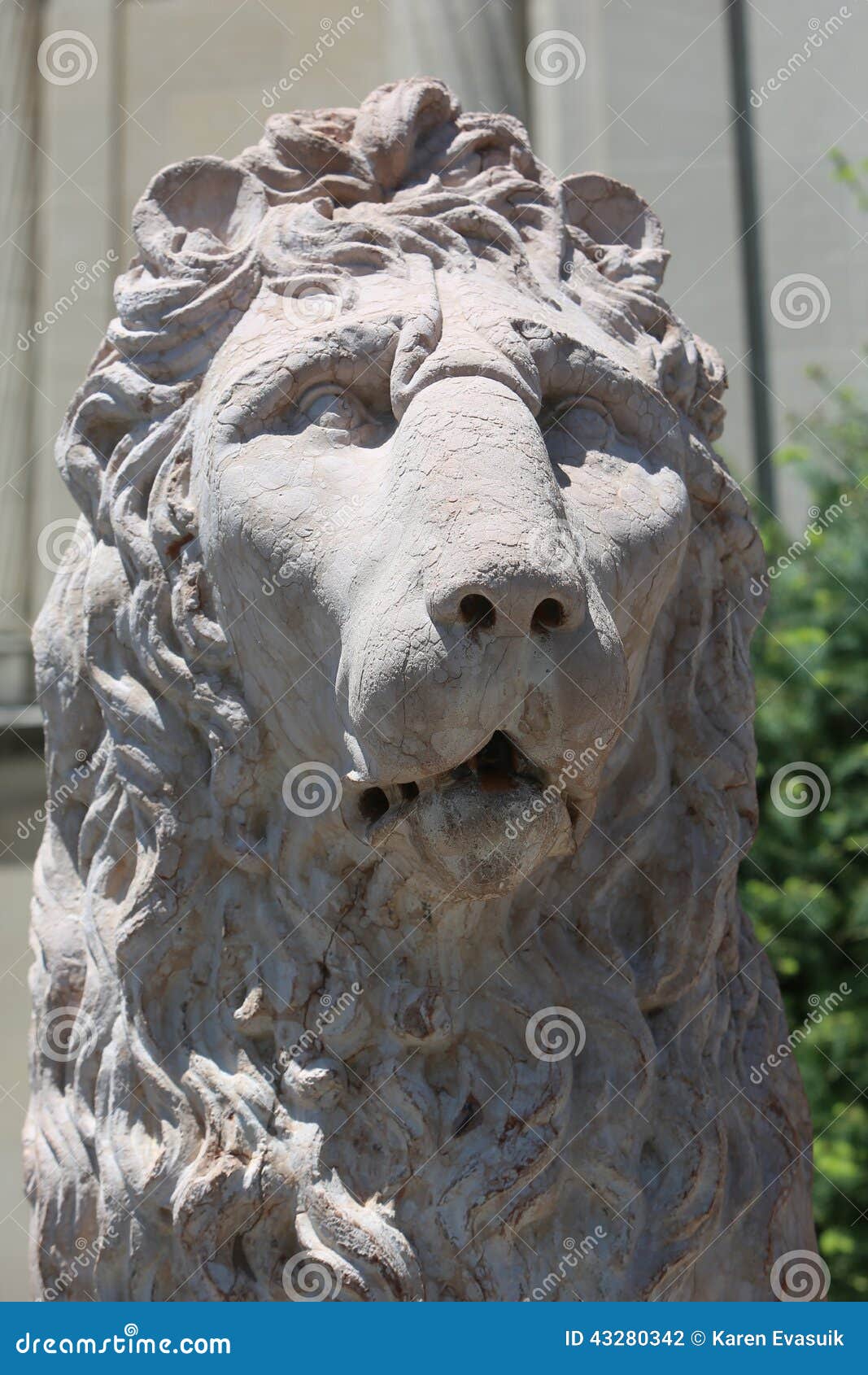 Lions head statue stock photo. Image of full, lifesize 43280342