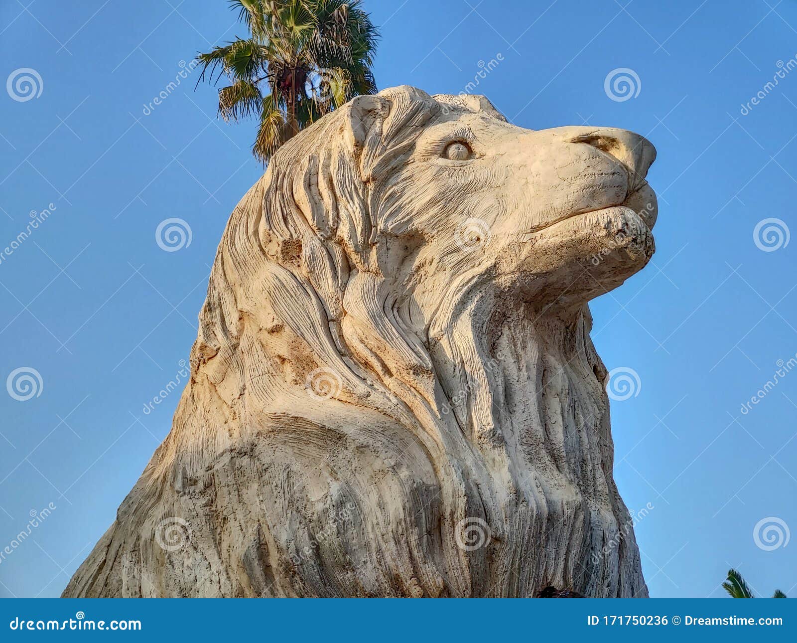 The lion statue in the zoo editorial photo. Image of beauty 171750236