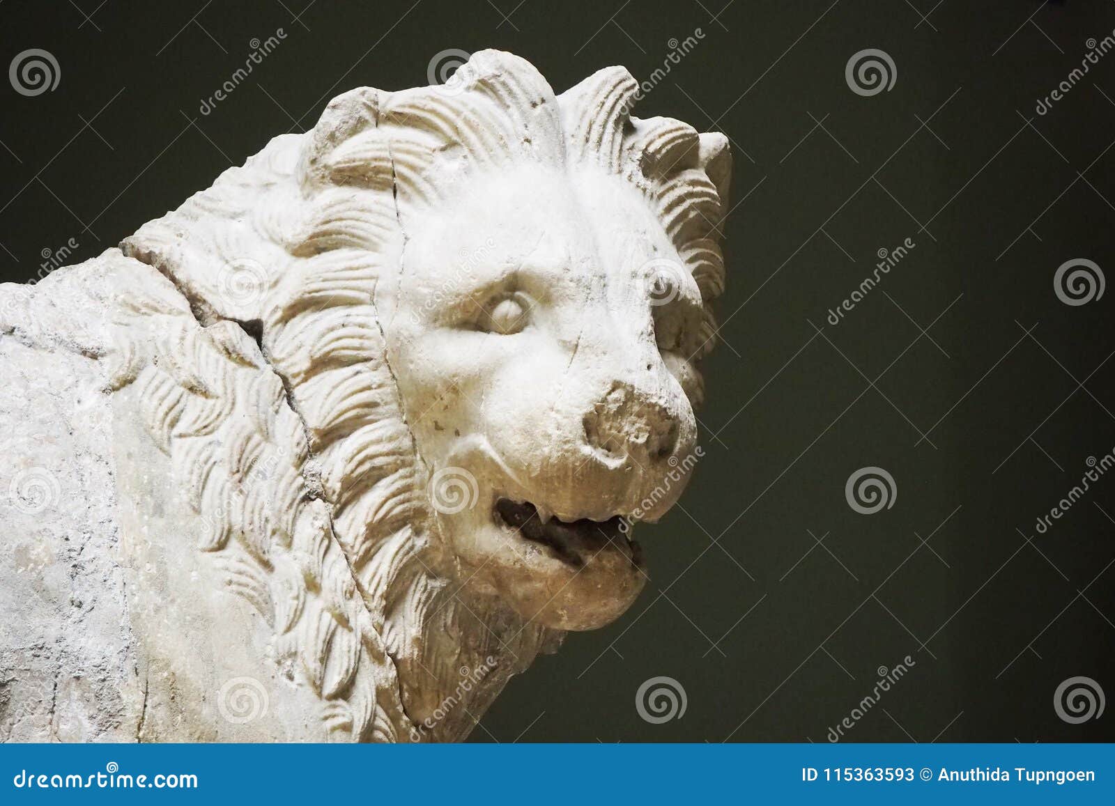 Lion status stock image. Image of status, lion, cracking 115363593