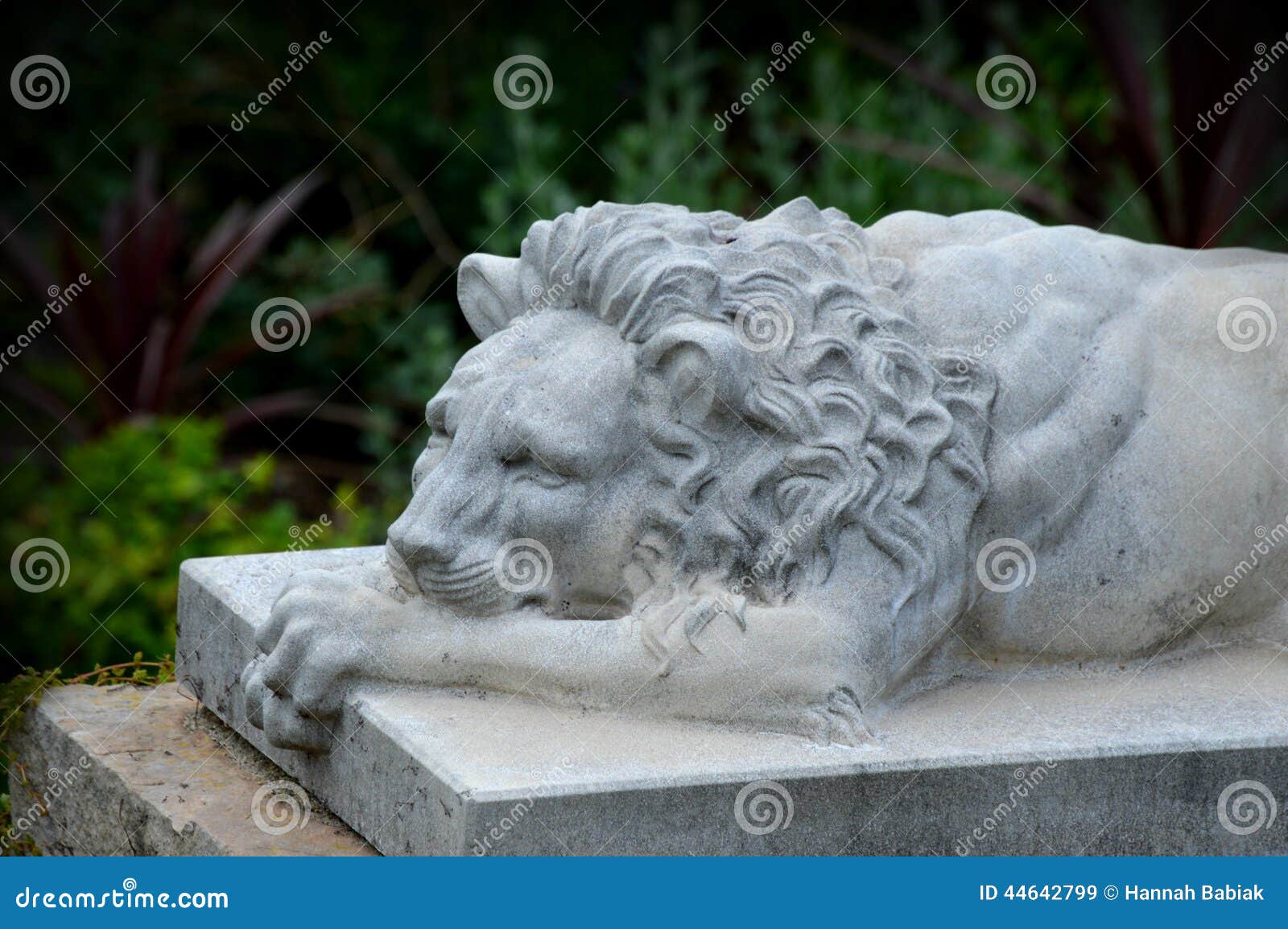 Lion Stone Statue Stock Image Image Of Gardens Arrogance 44642799