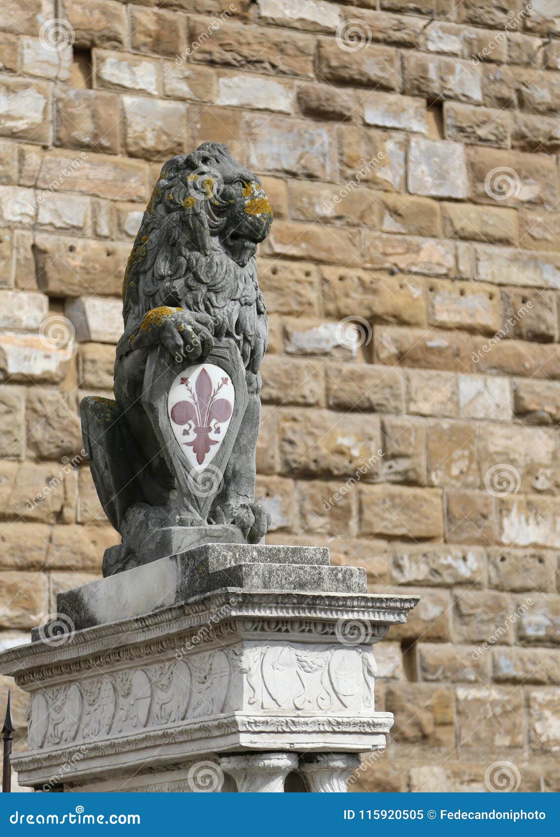 lion with  of florence in italy