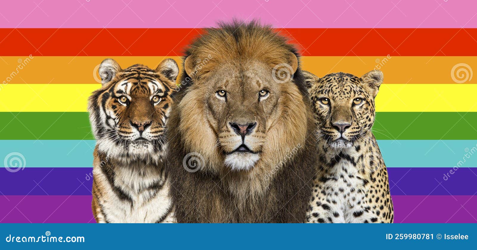 Lion, Tiger and Spotted Leopard, Together in Front of RAINBOW Flag Stock  Image - Image of brown, beauty: 259980781
