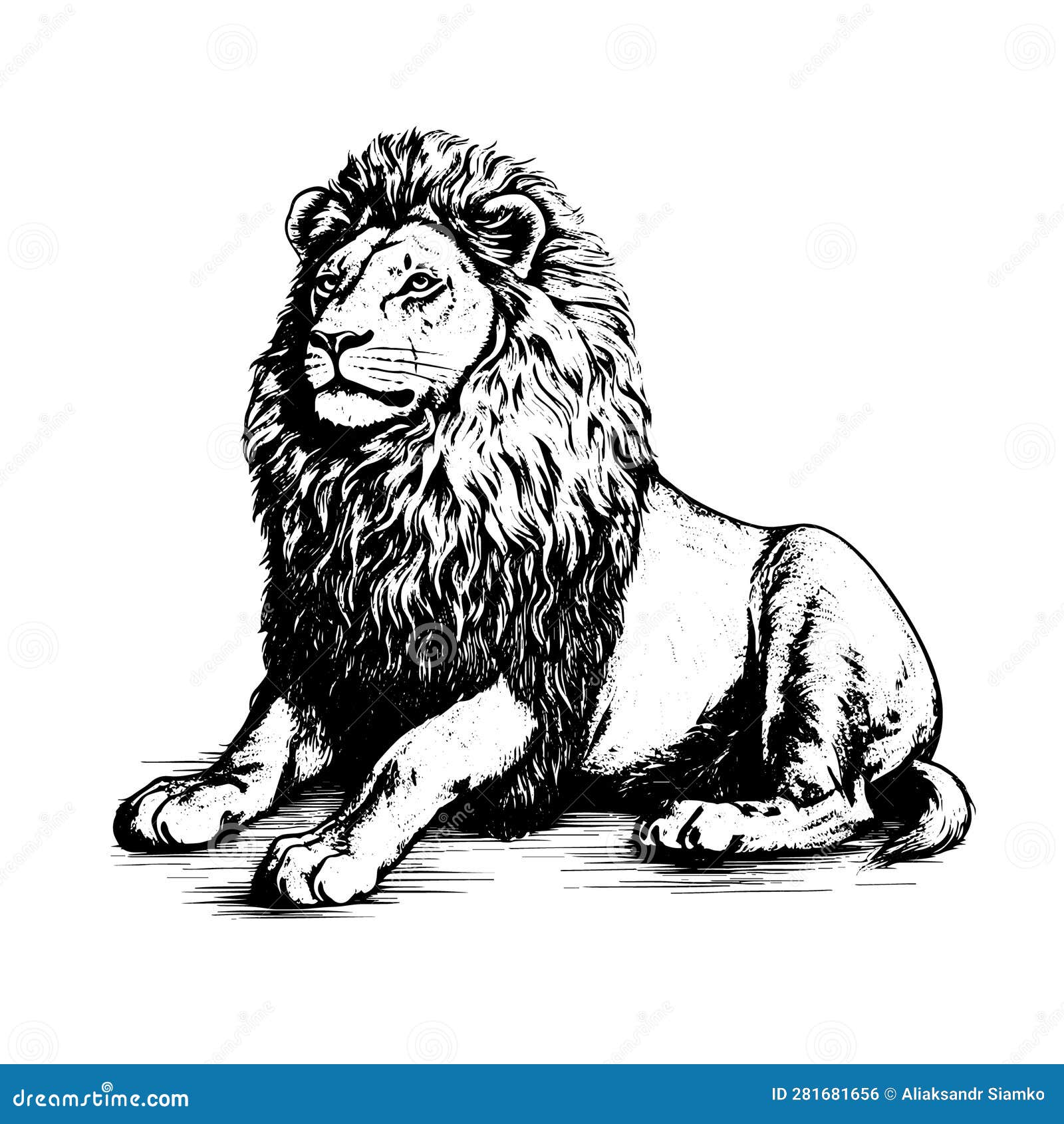 Lion Vector Drawing. Isolated Hand Drawn, Engraved Style Illustration ...