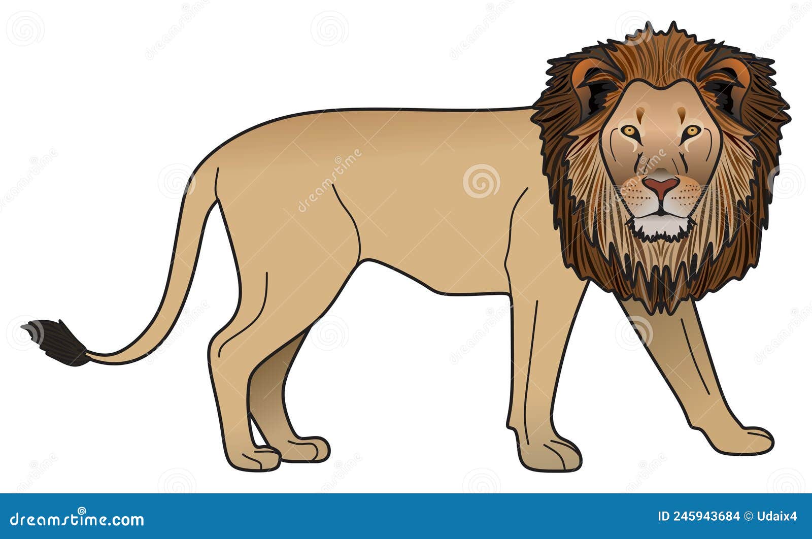 Lion Vector Drawing on Isolated White Background Stock Vector ...