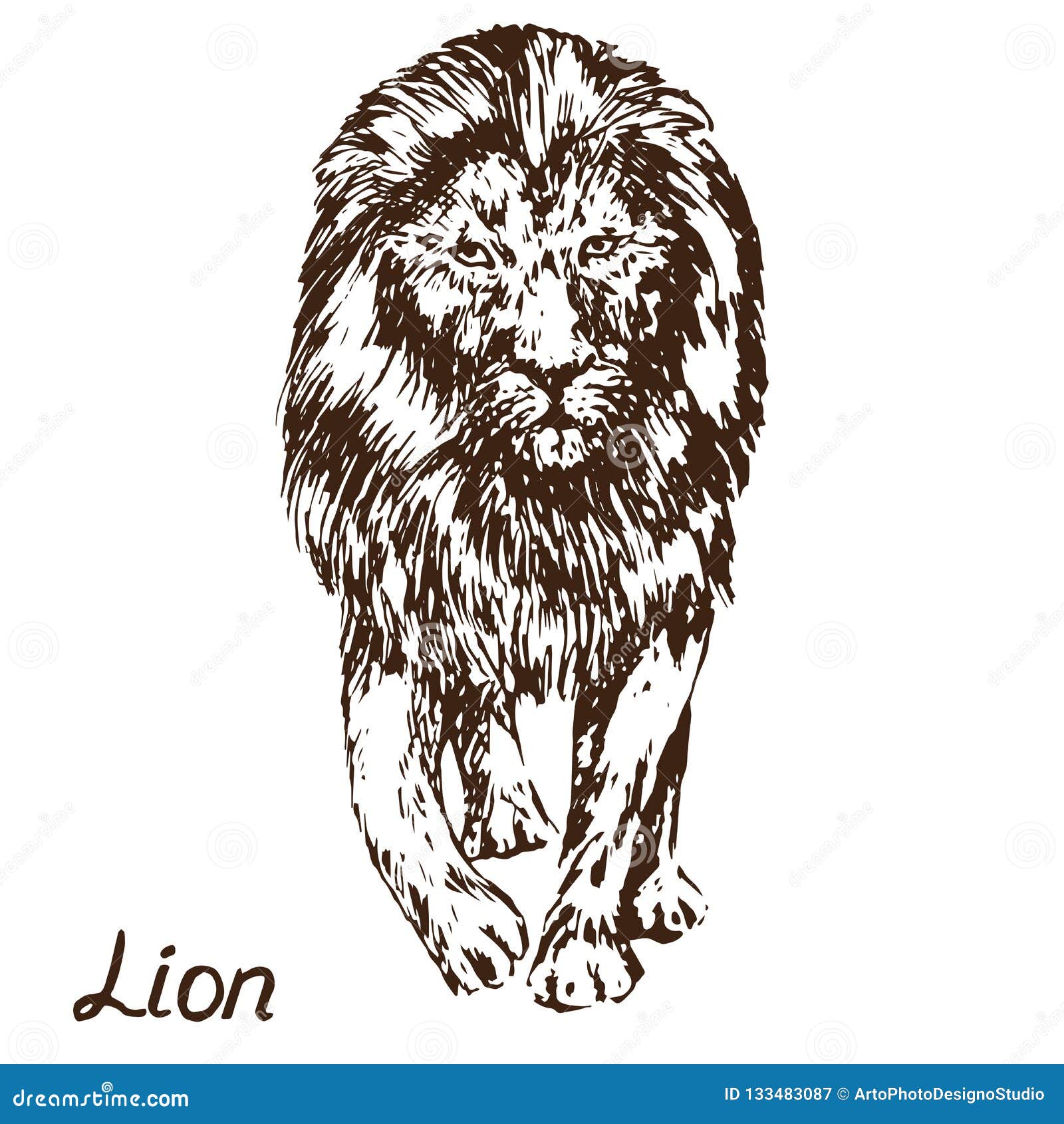 Lion Walking, Hand Drawn Doodle Sketch Stock Vector - Illustration of ...