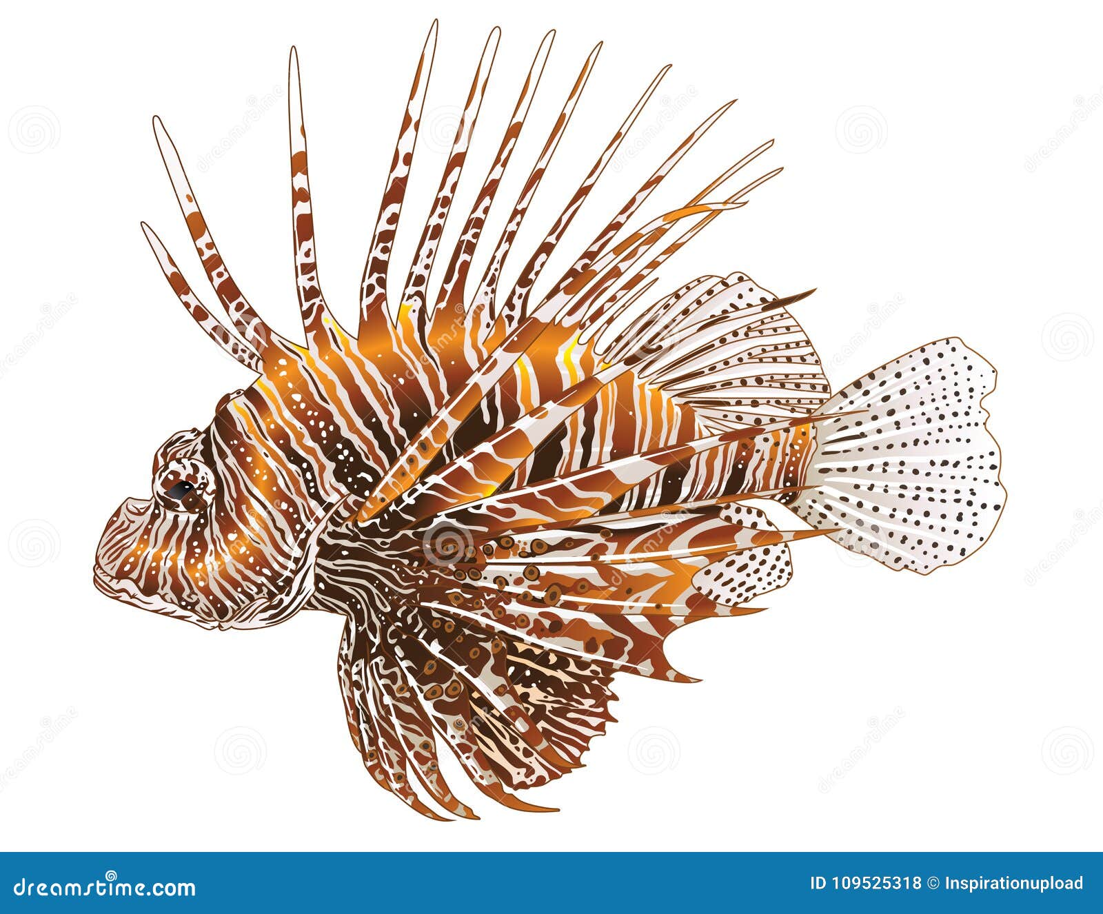 Download Lionfish - Isolated Vector Design Stock Illustration ...