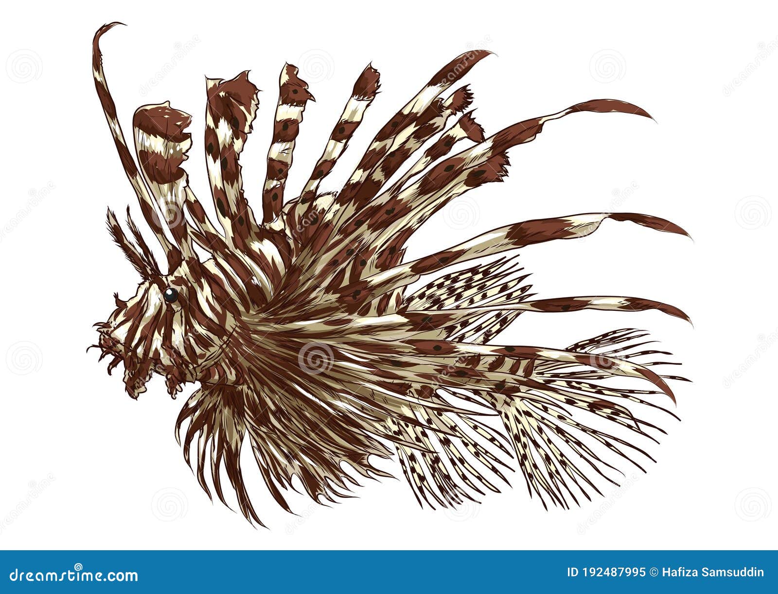 Download Lionfish. Vector Illustration Decorative Design Stock Vector - Illustration of aquatics ...