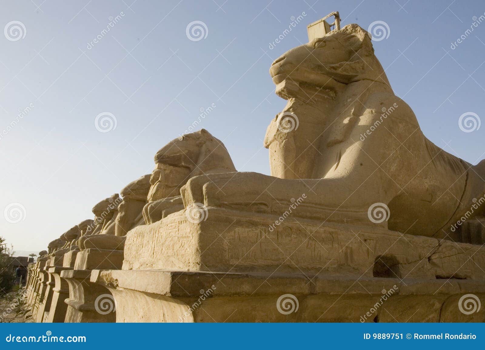 Lions of egypt stock image. Image of textures, perseverance 9889751