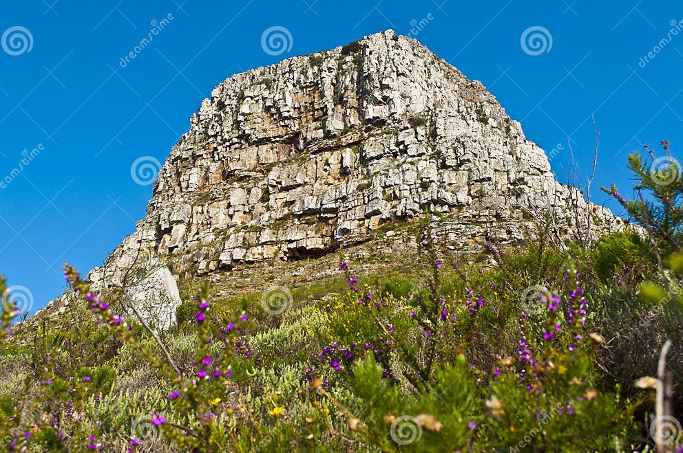 Lions head mountain peak stock photo. Image of enormous 22927672