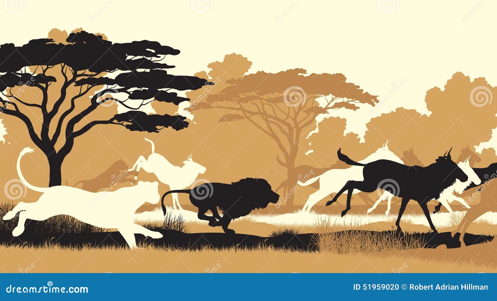 Lions hunting wildebeest stock vector. Image of wildebeest 51959020