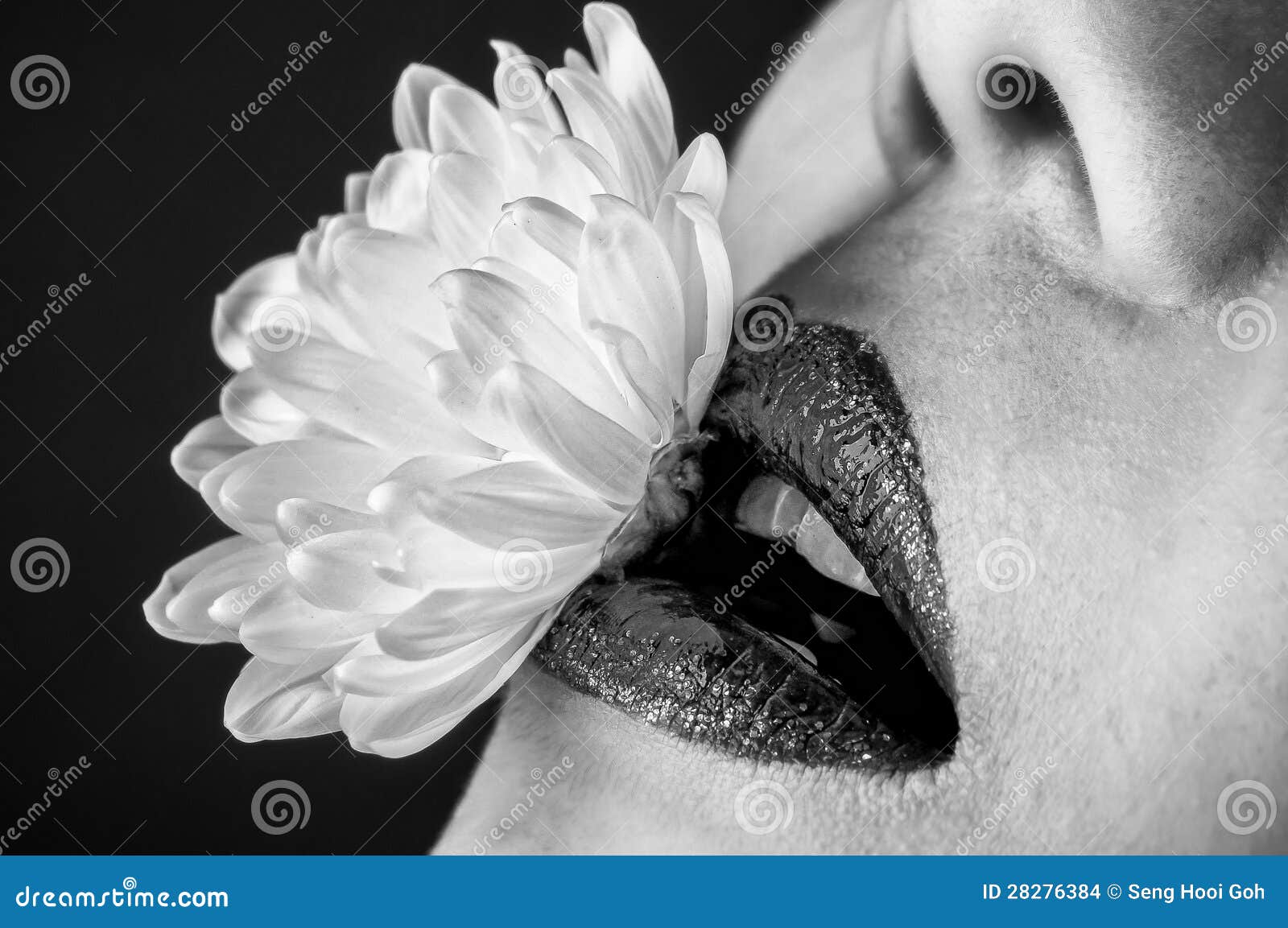Lip with flower stock photo. Image of colorful, cosmetic 28276384