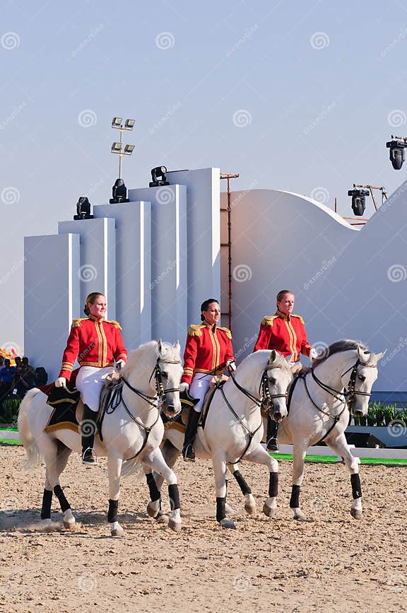 Lipizzan Stallions show editorial photography. Image of faithful 17760527