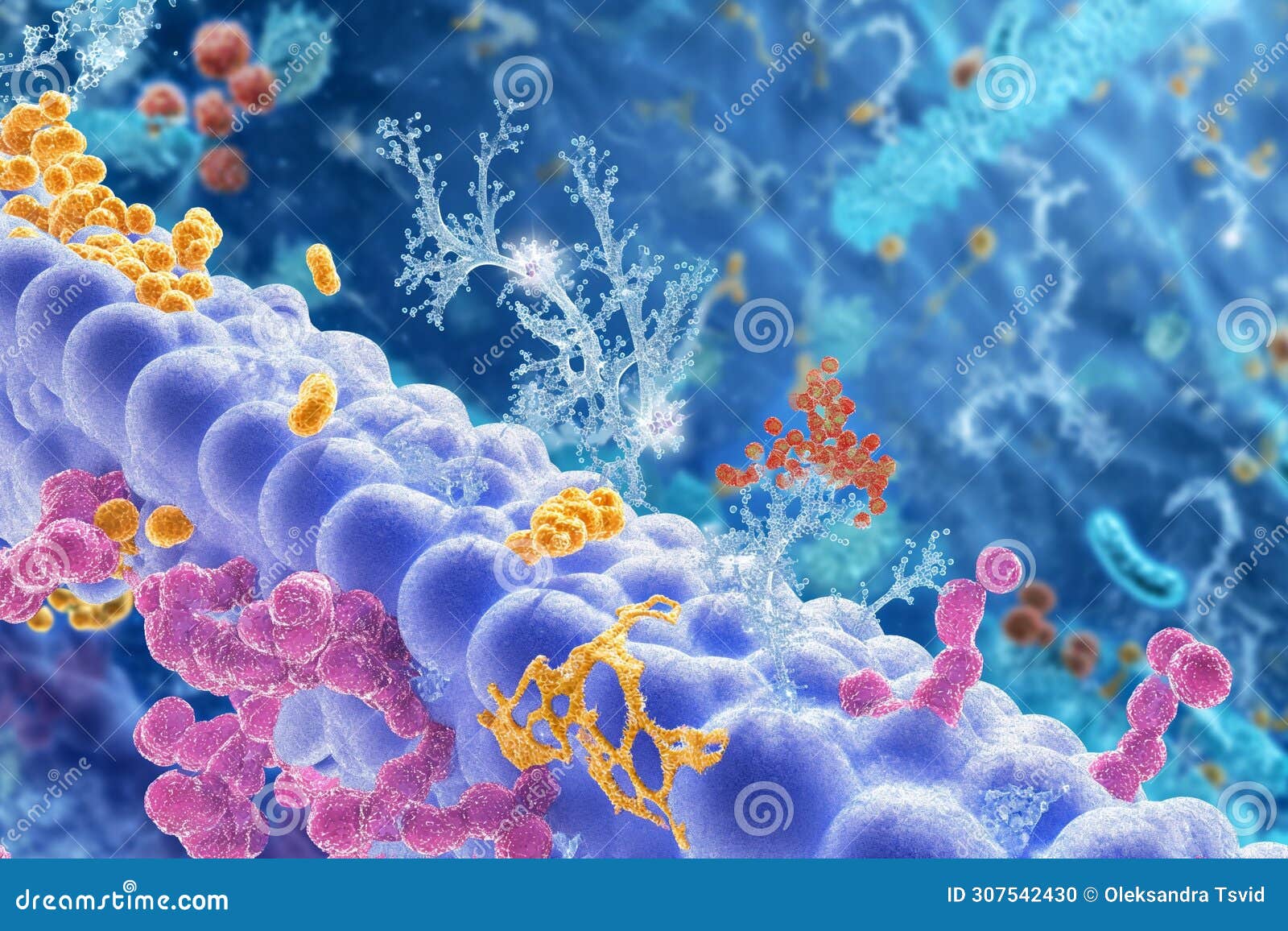 lipoproteins transfer lipids (fats)