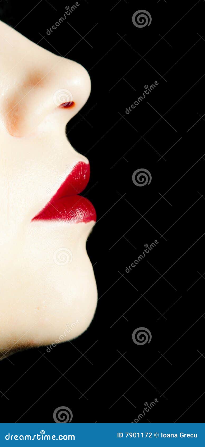 Lips and nose stock photo. Image of face, lipstick, lush 7901172