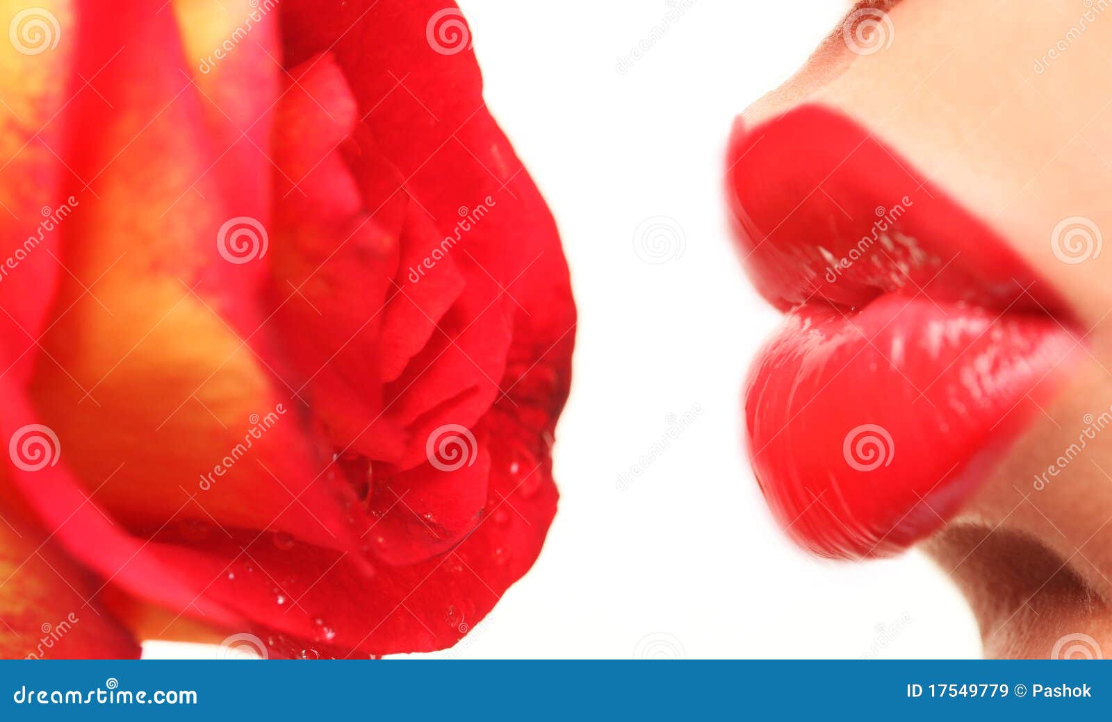 Lips and rose stock image. Image of romantic, fragile 17549779